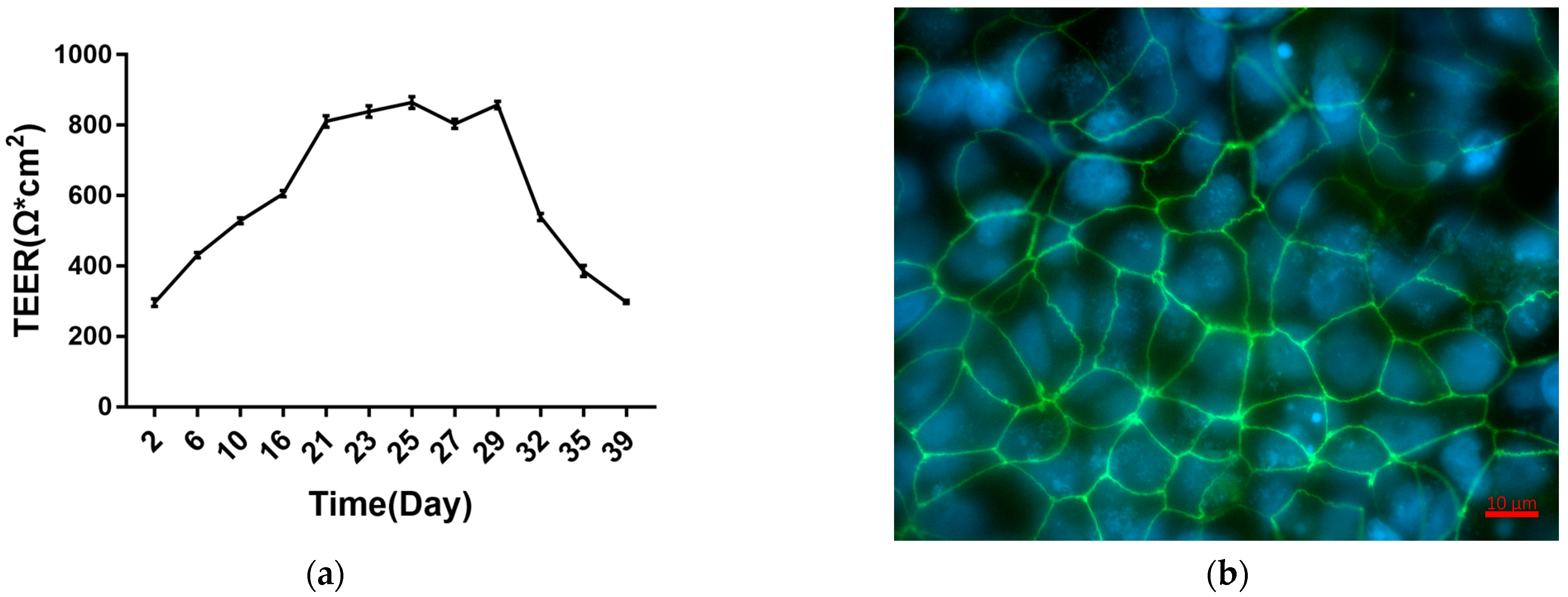 Toxins 15 00132 g001 Toxins 15 00132 g001