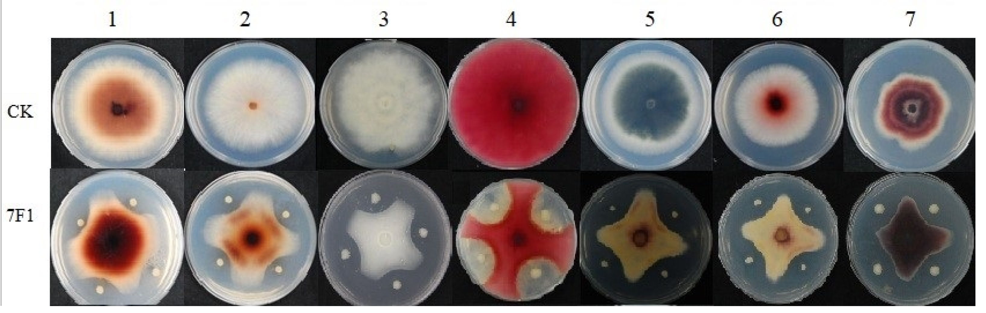 Toxins 15 00138 g003