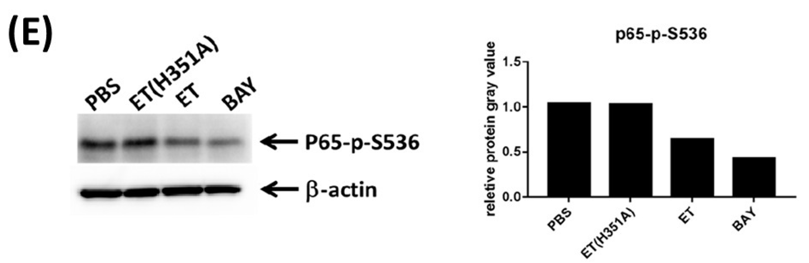Toxins 15 00139 g007b