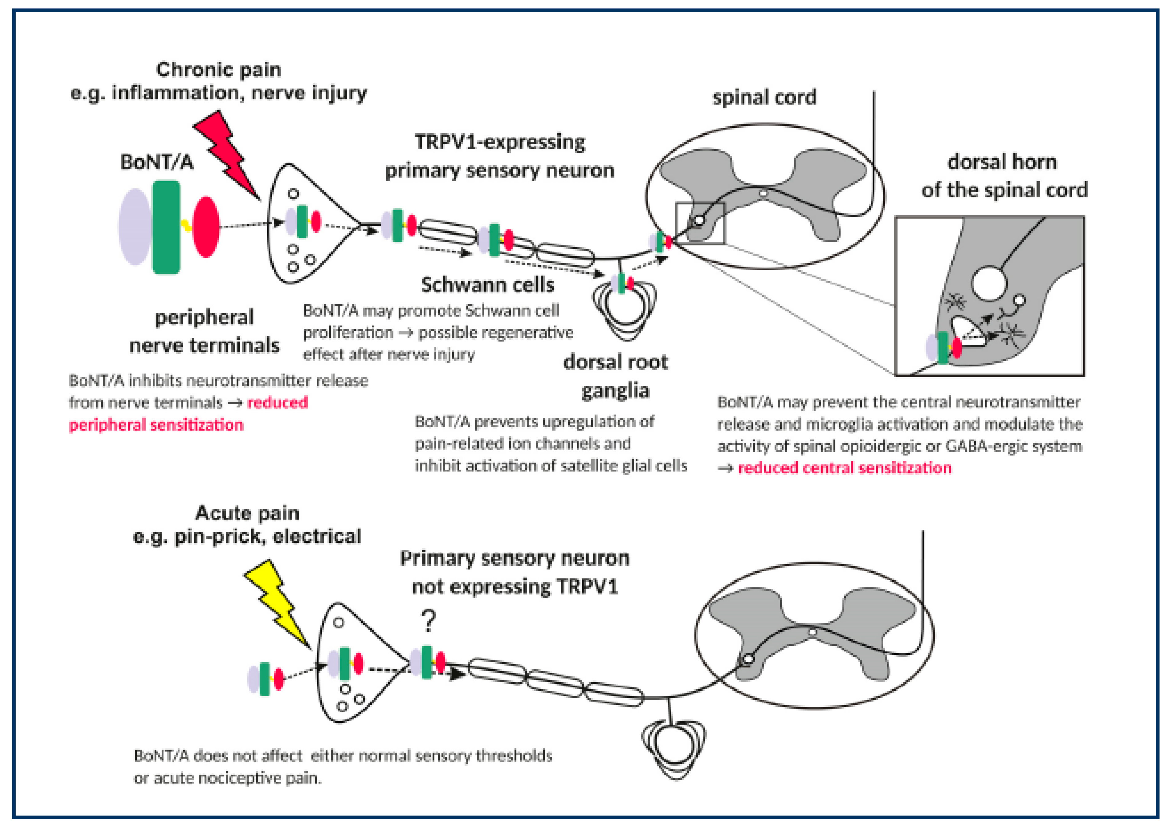 Toxins 15 00152 g004 Toxins 15 00152 g004