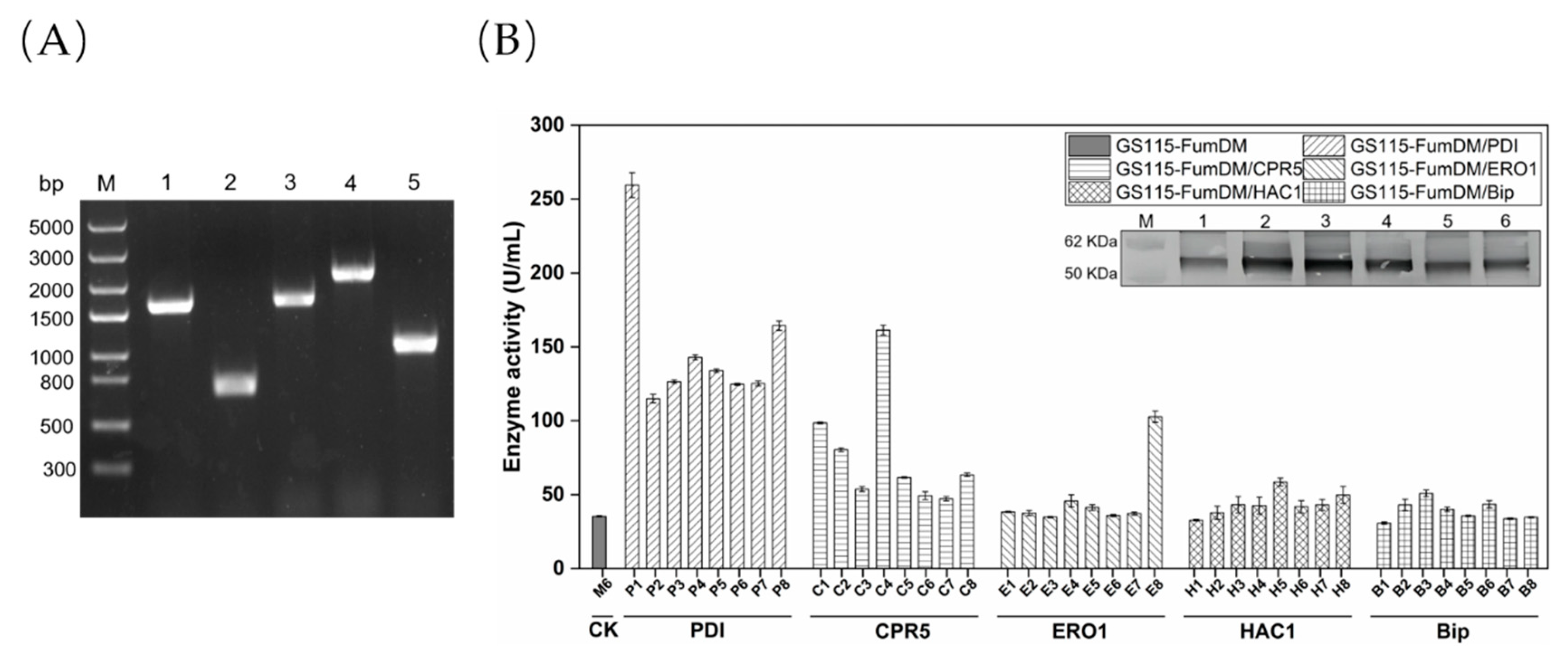 Toxins 15 00156 g002
