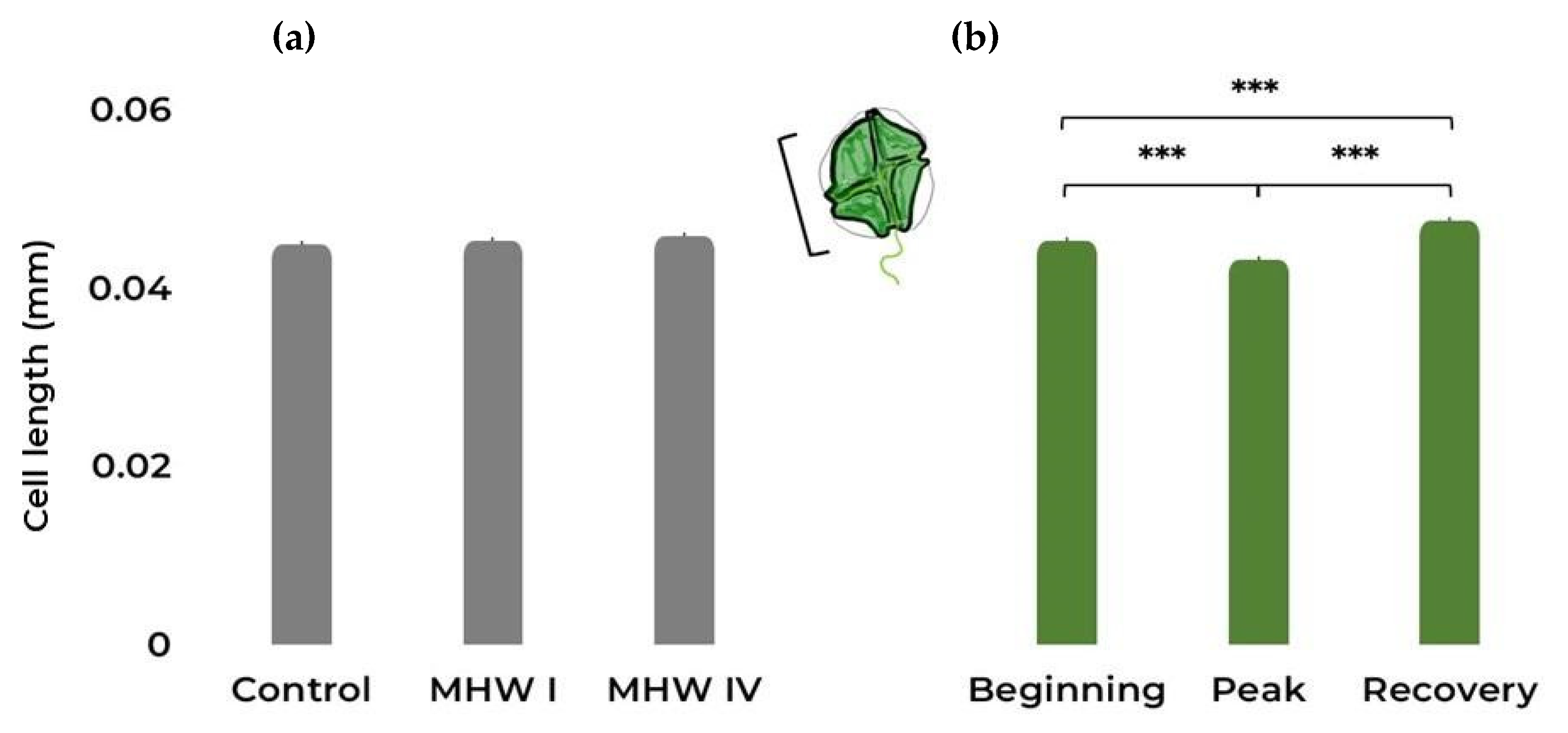 Toxins 15 00157 g003