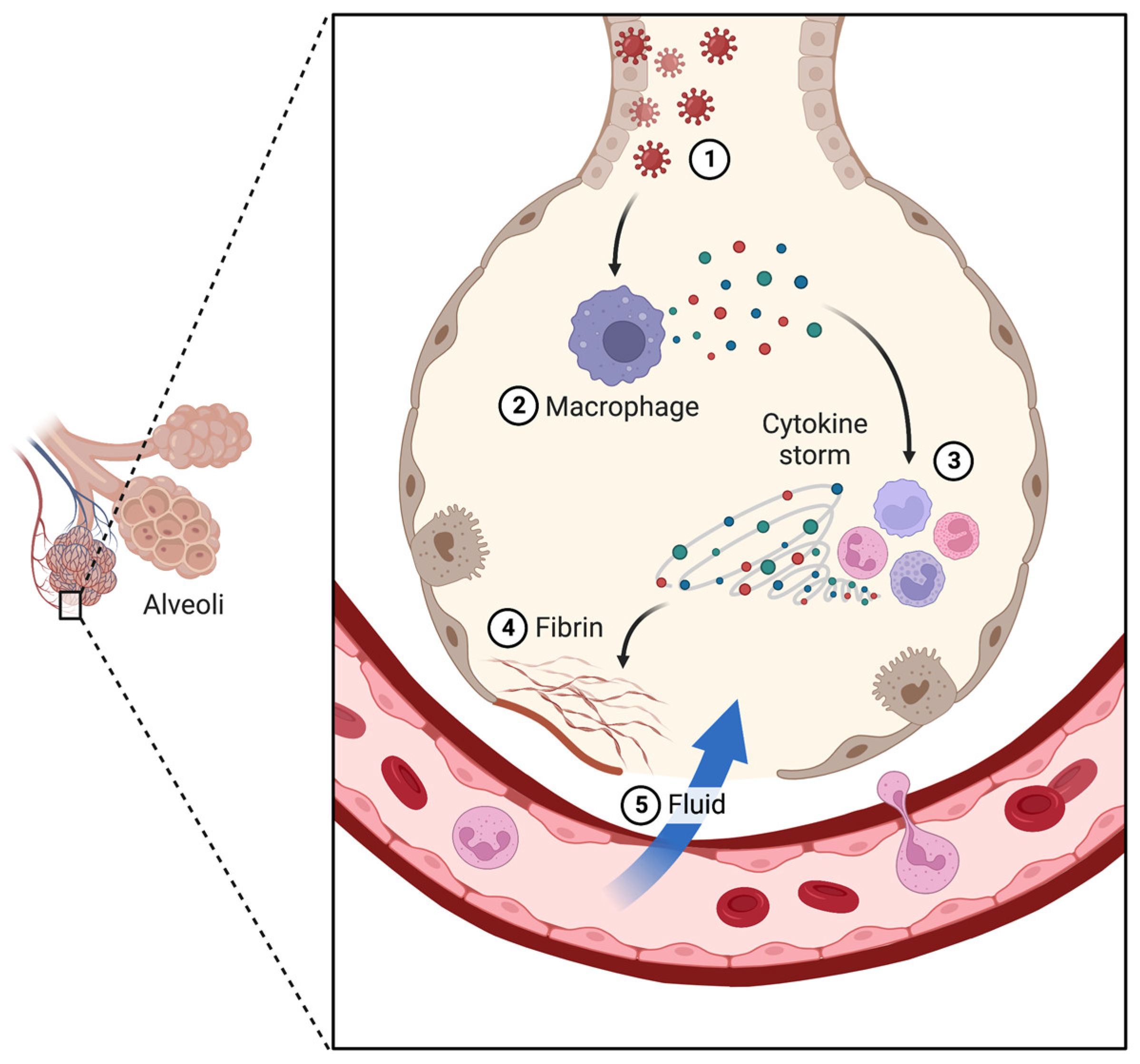 Toxins 15 00159 g001