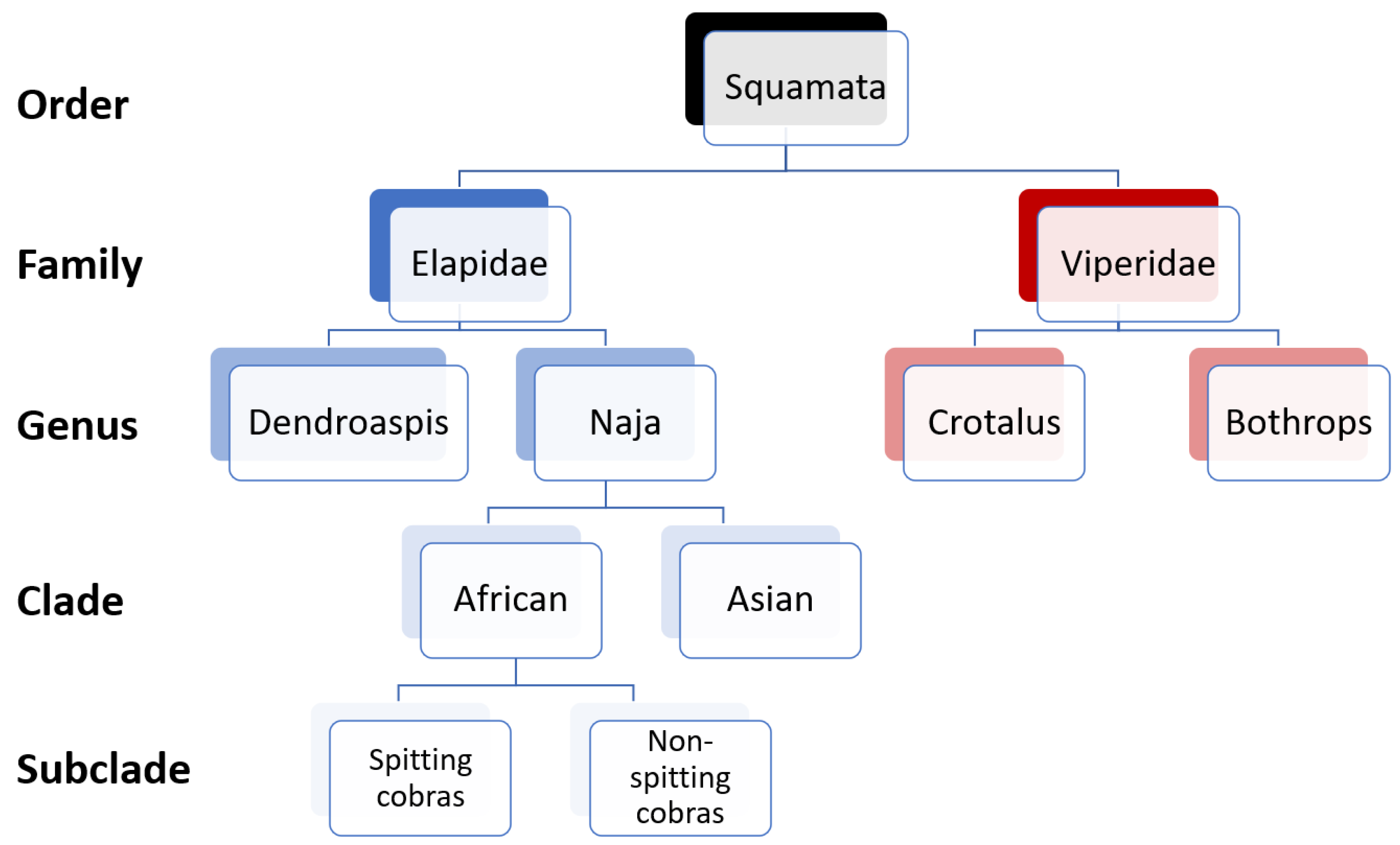 Toxins 15 00161 g001 Toxins 15 00161 g001