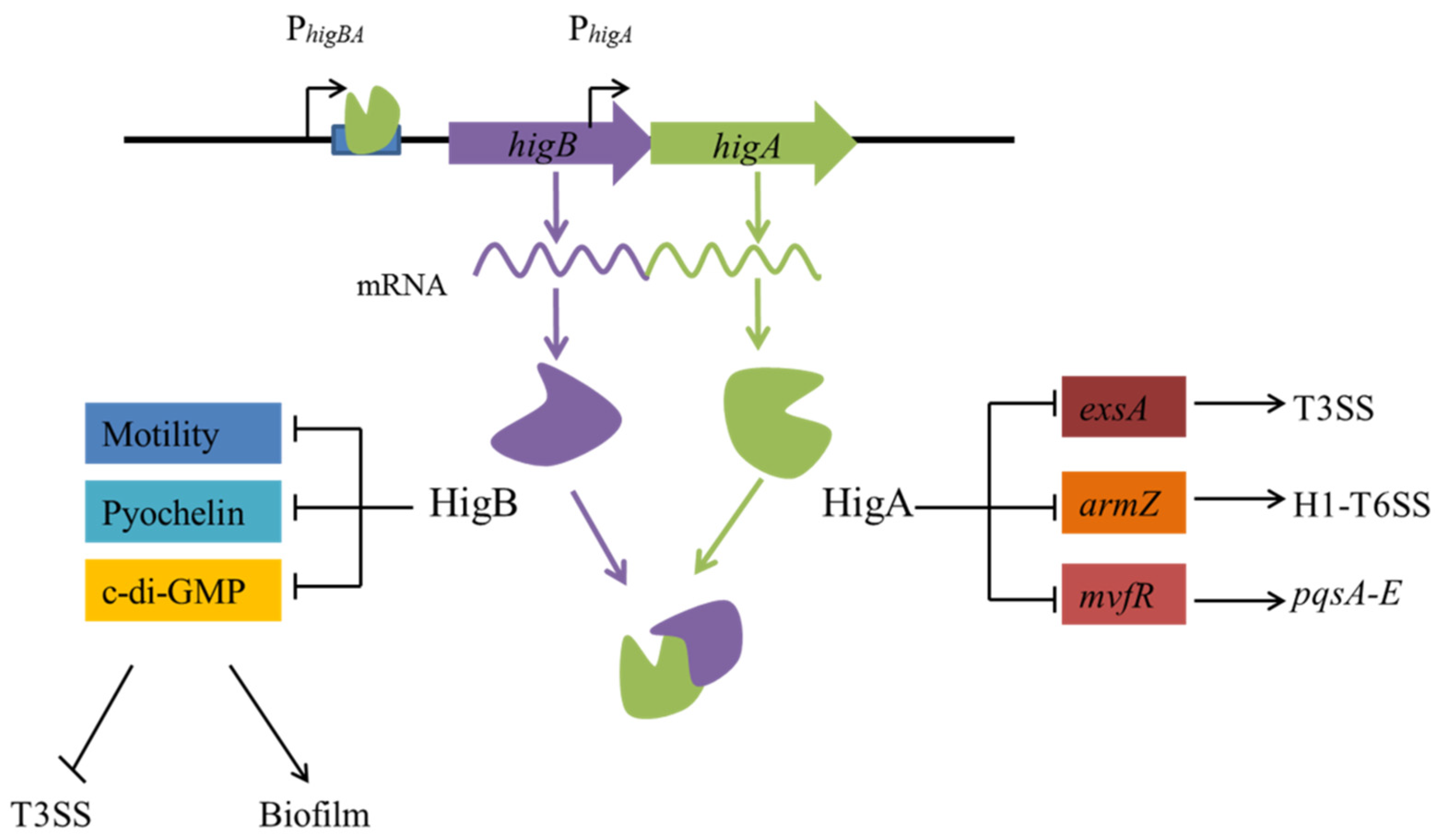 Toxins 15 00164 g003 Toxins 15 00164 g003