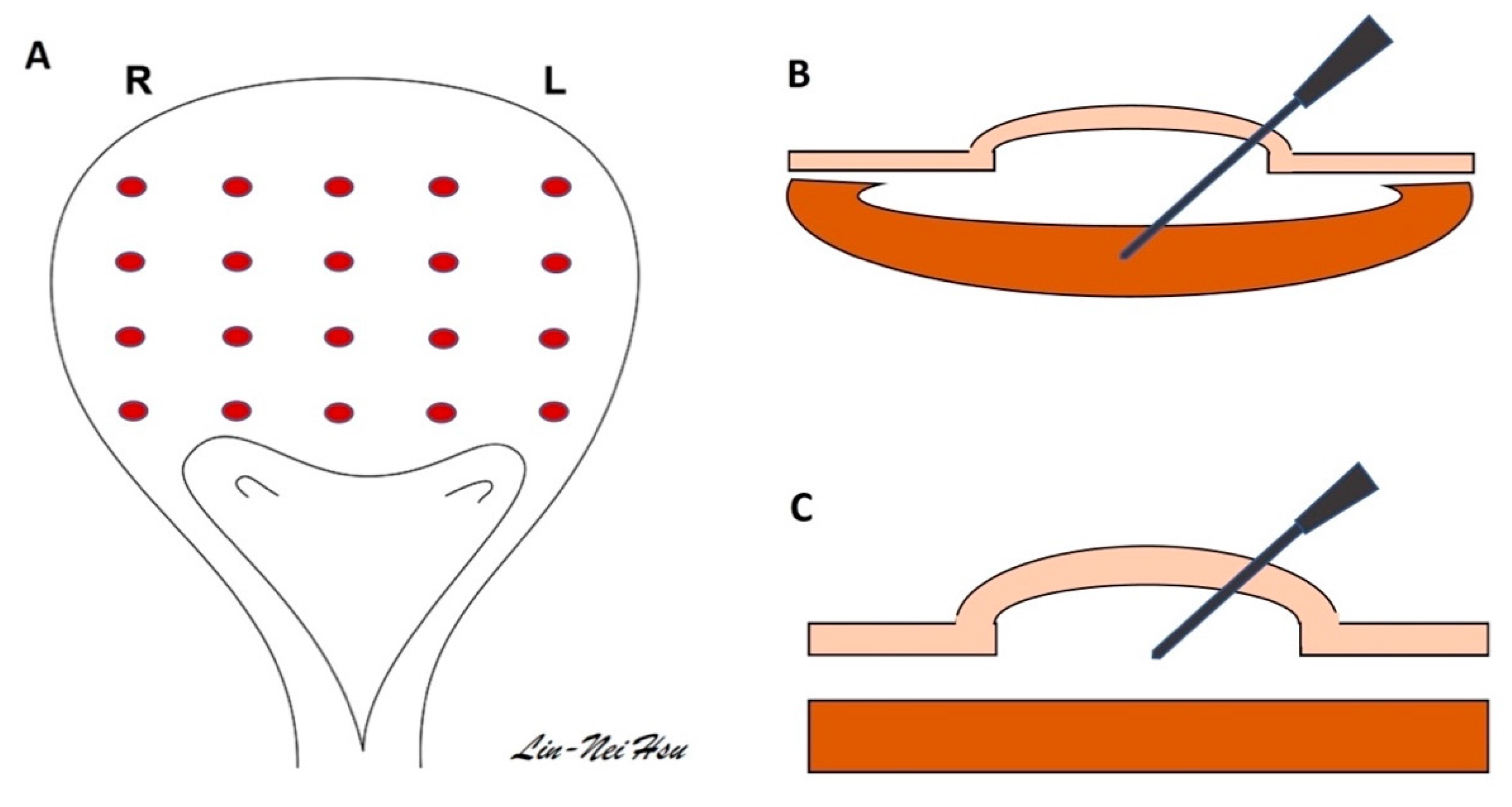 Toxins 15 00166 g003 Toxins 15 00166 g003