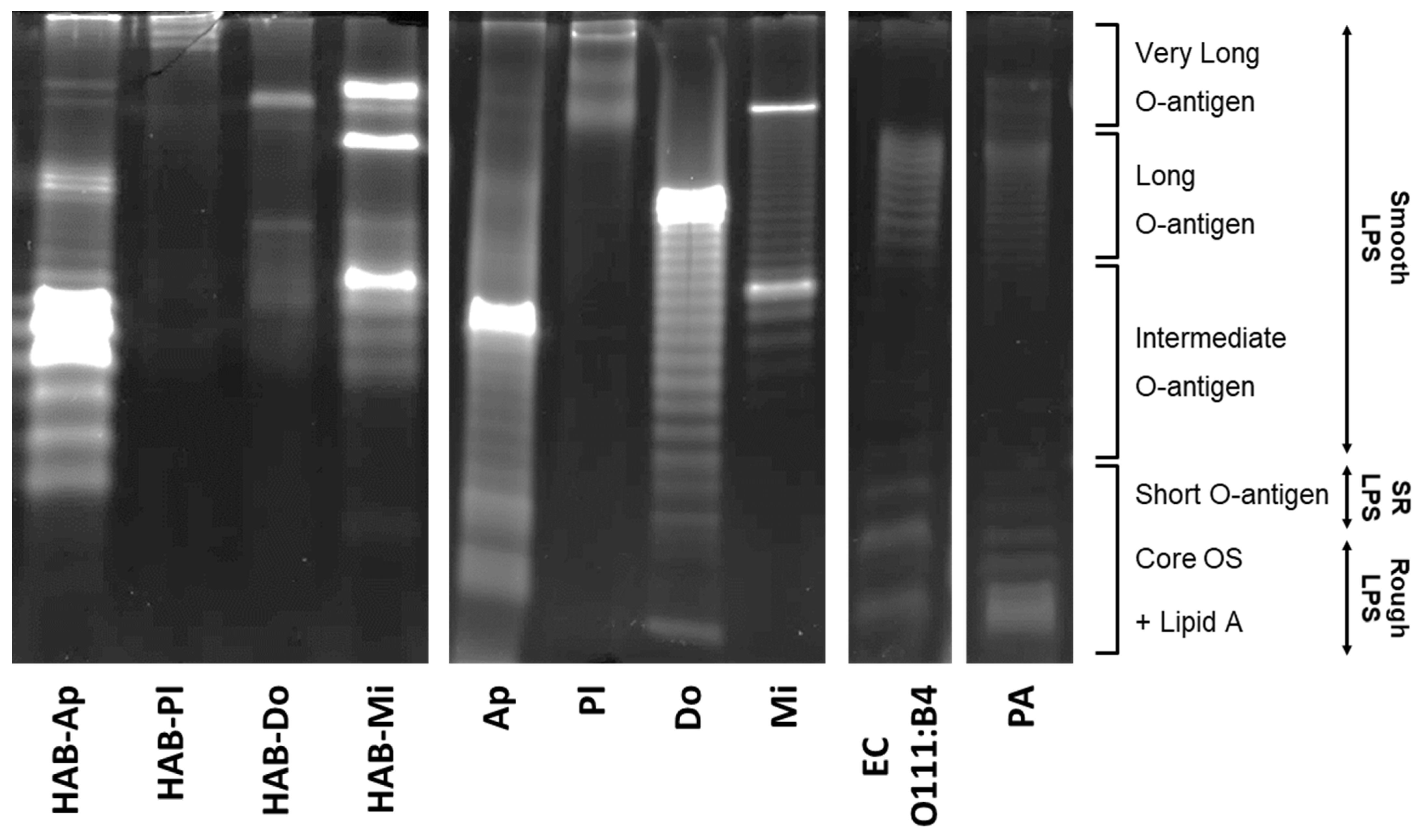 Toxins 15 00169 g006