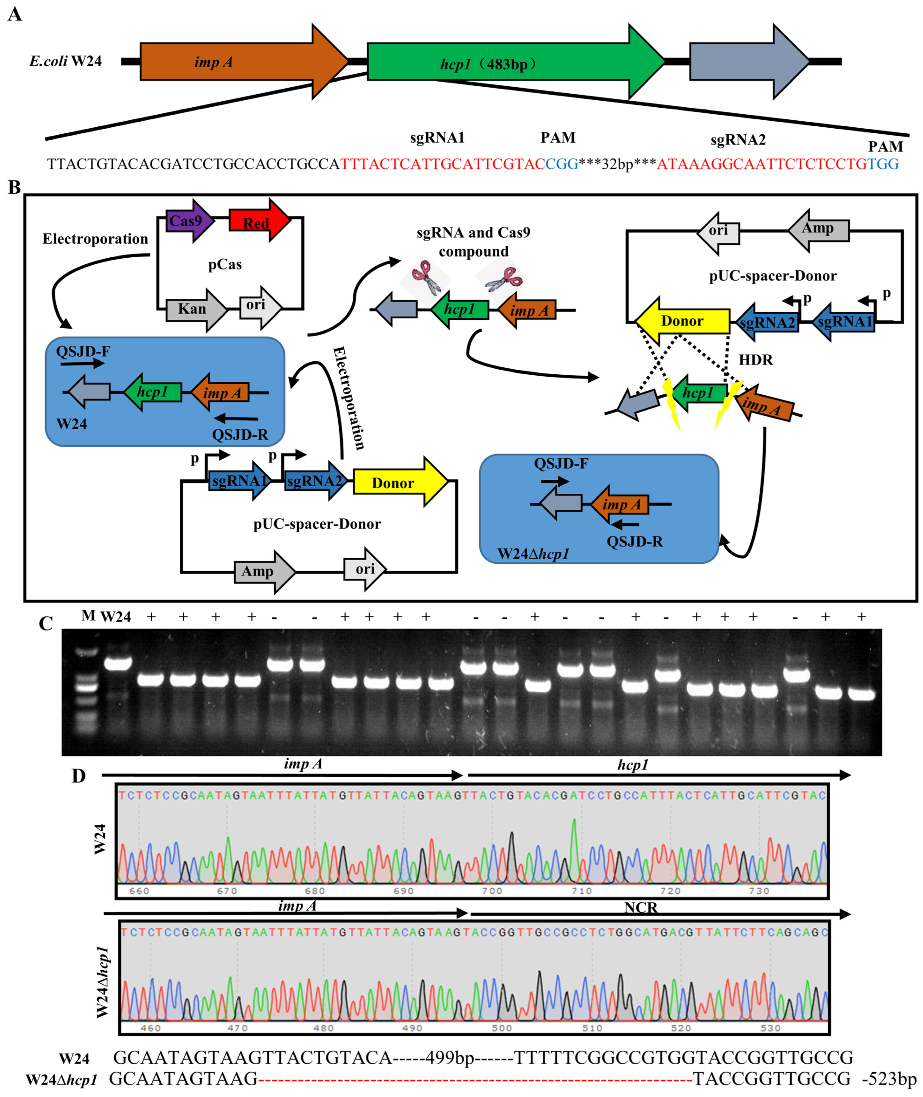 Toxins 15 00171 g001 Toxins 15 00171 g001