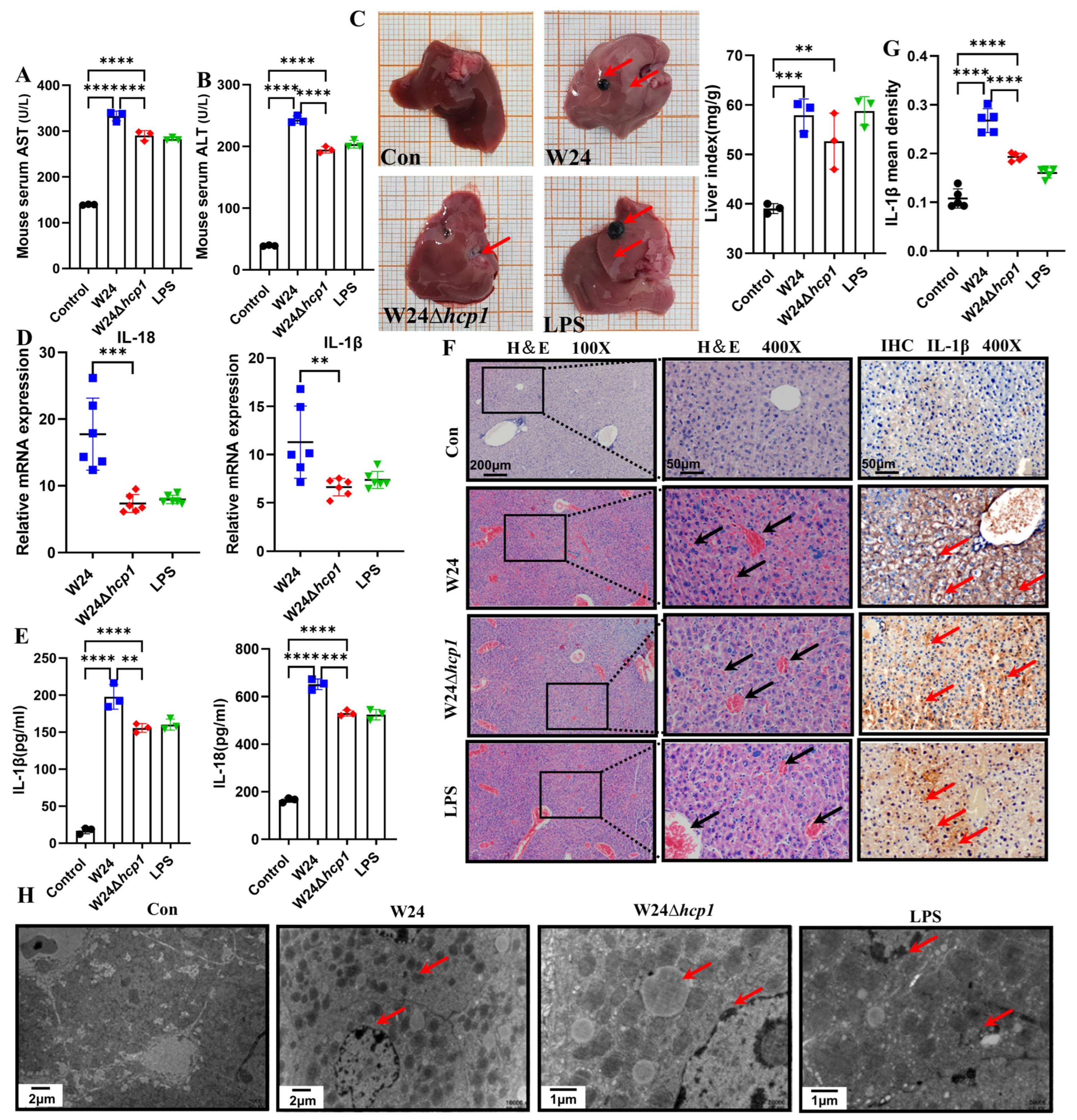 Toxins 15 00171 g003 Toxins 15 00171 g003