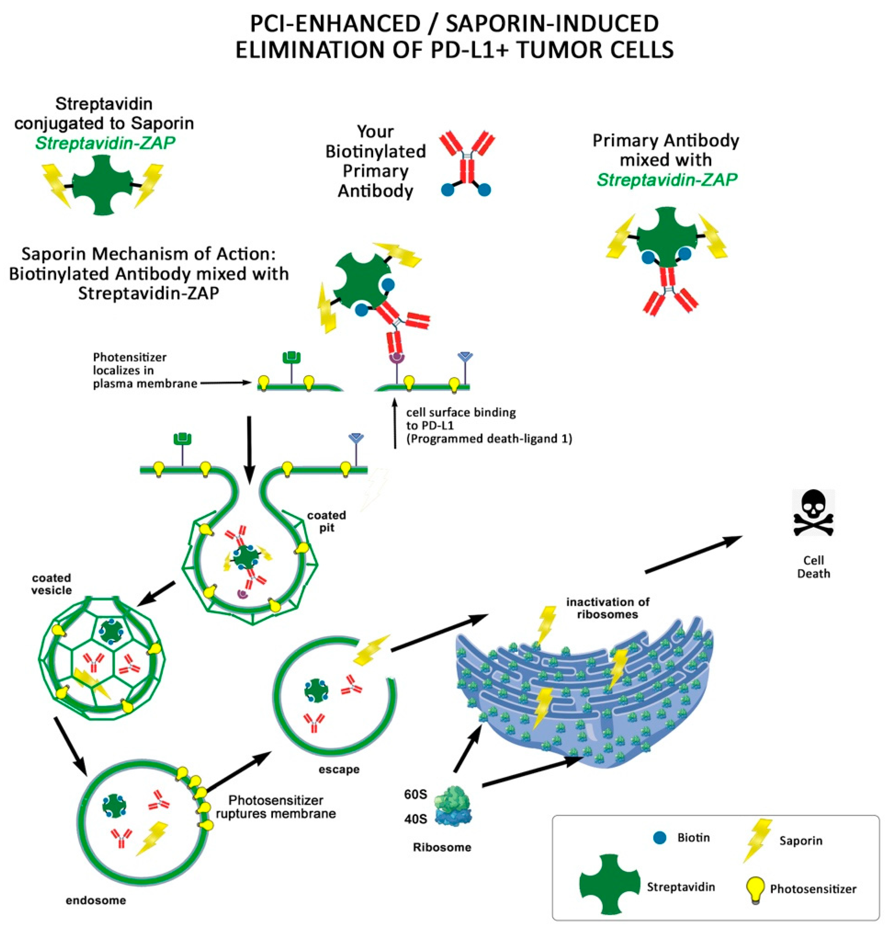 Toxins 15 00181 g003