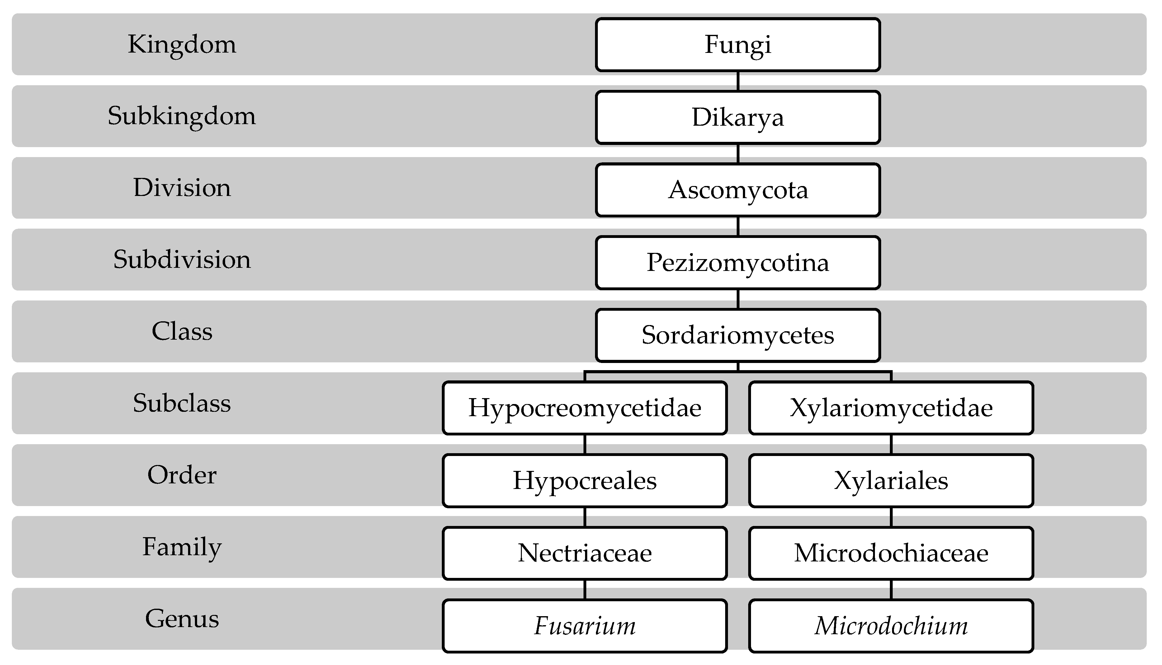 Toxins 15 00192 g001