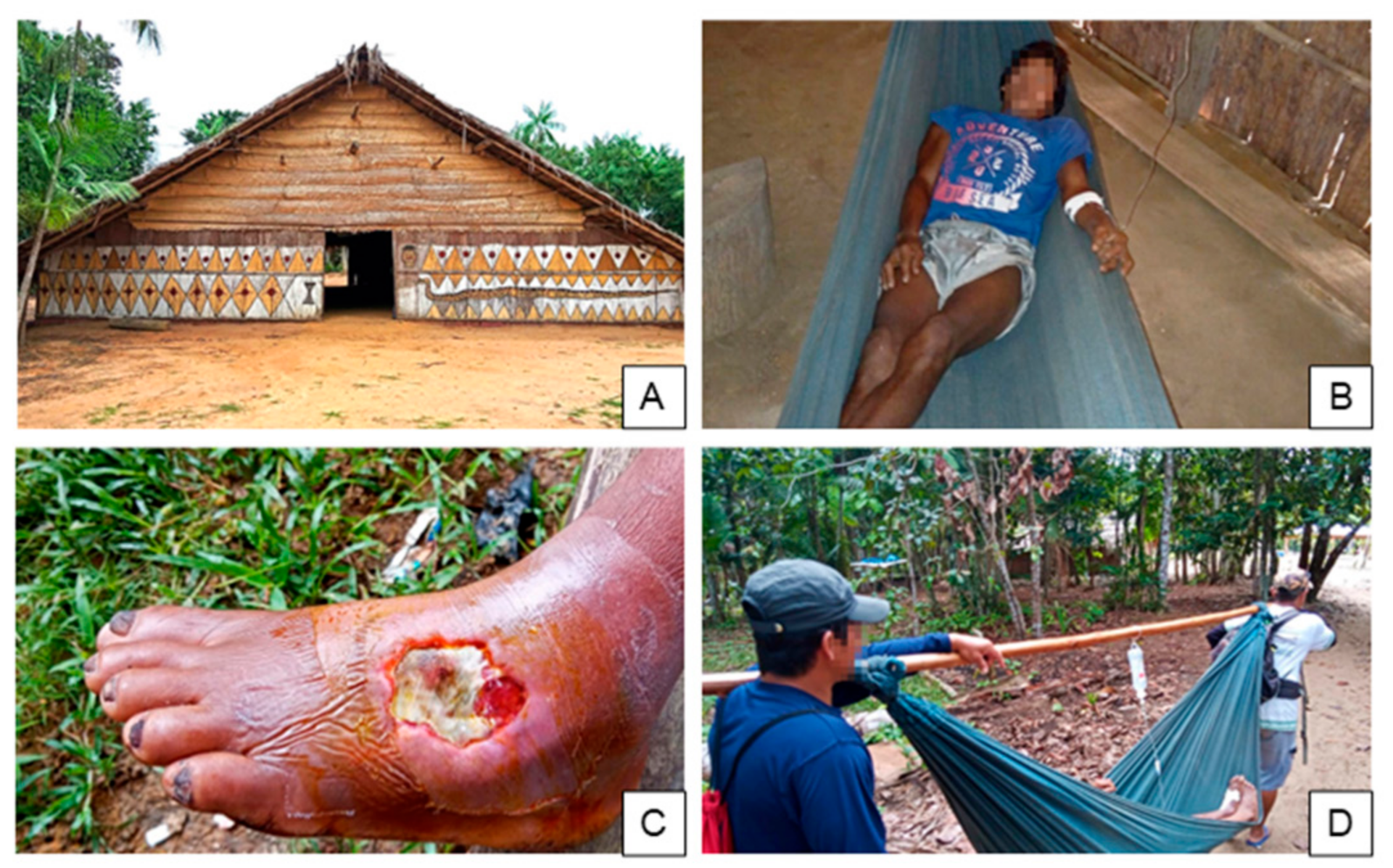 Toxins 15 00194 g002