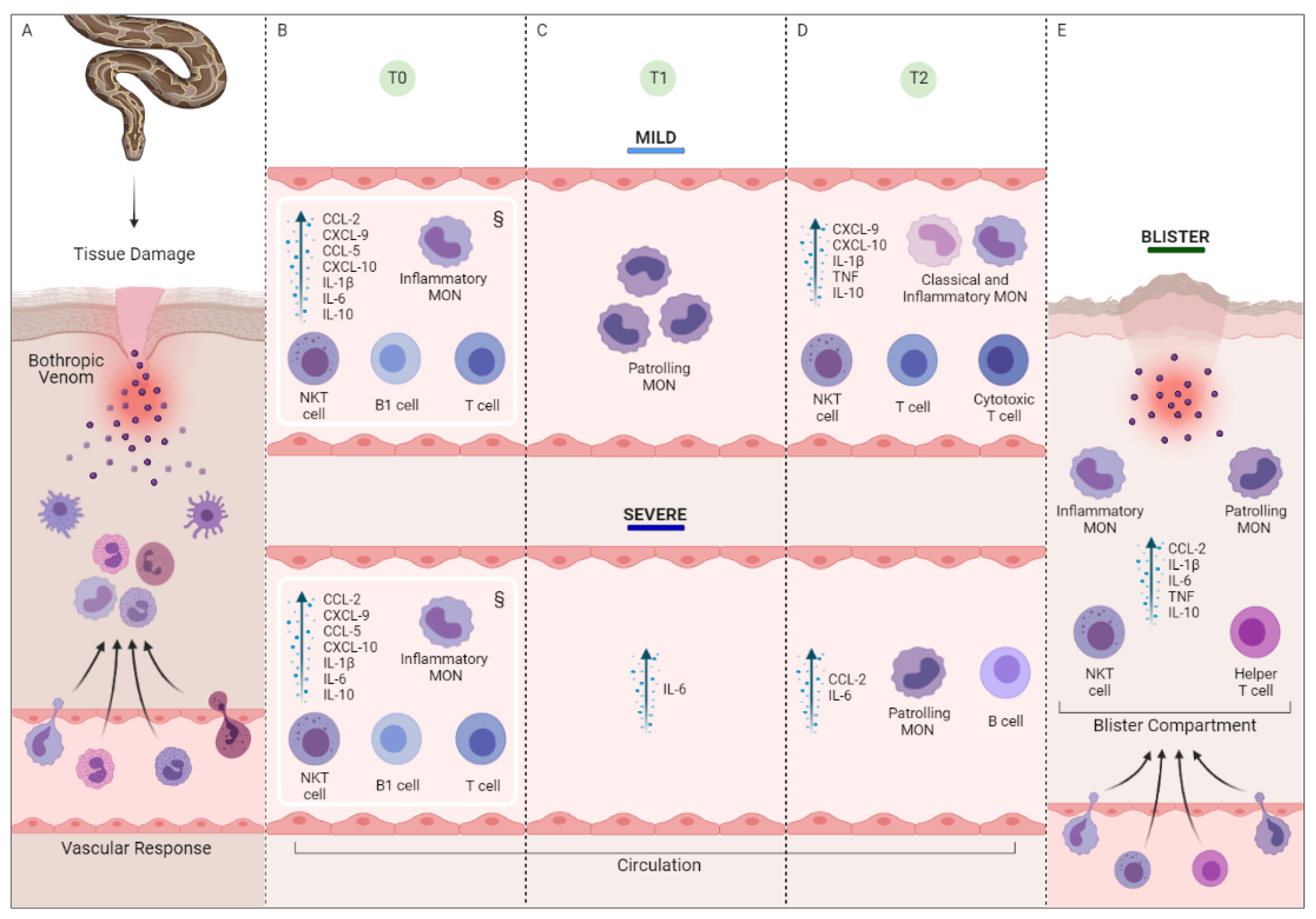 Toxins 15 00196 g006