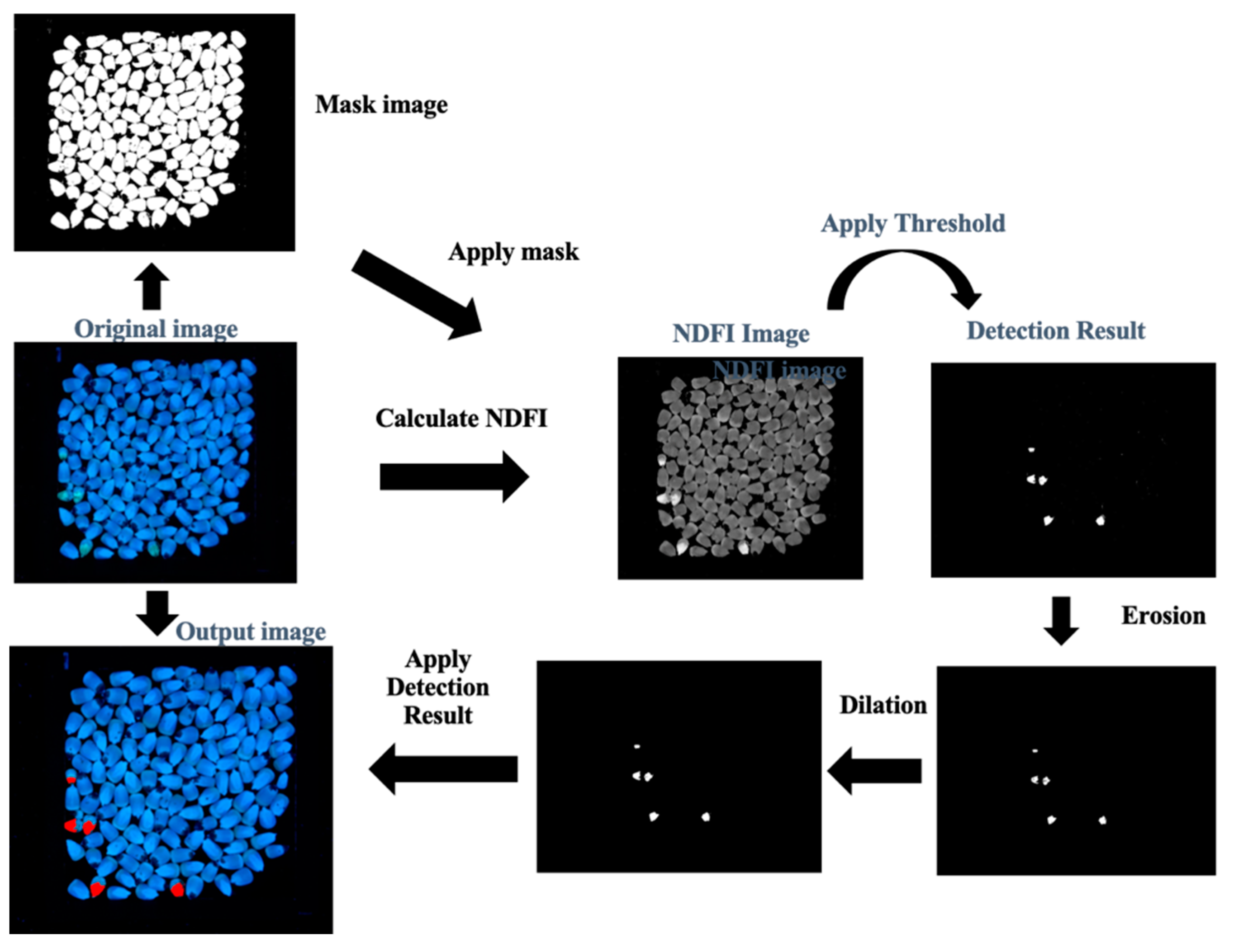 Toxins 15 00197 g005