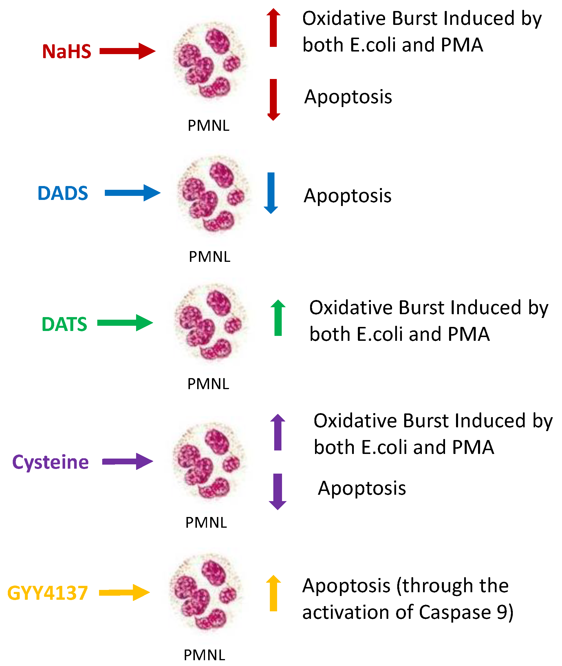 Toxins 15 00198 g009
