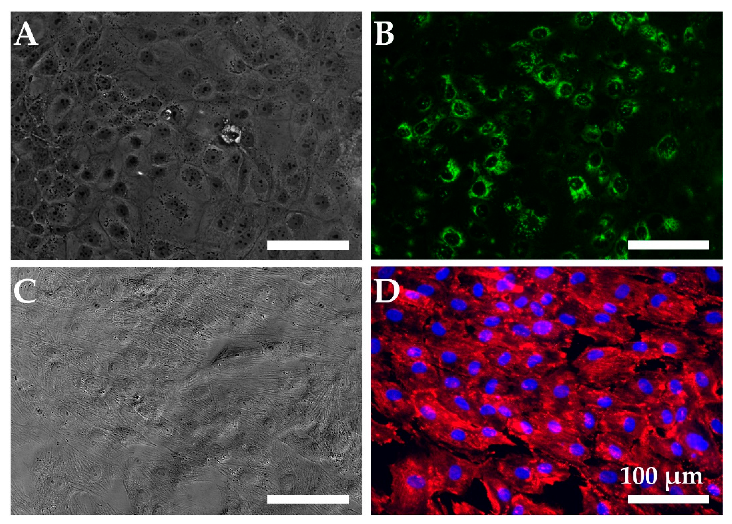 Toxins 15 00207 g003 Toxins 15 00207 g003