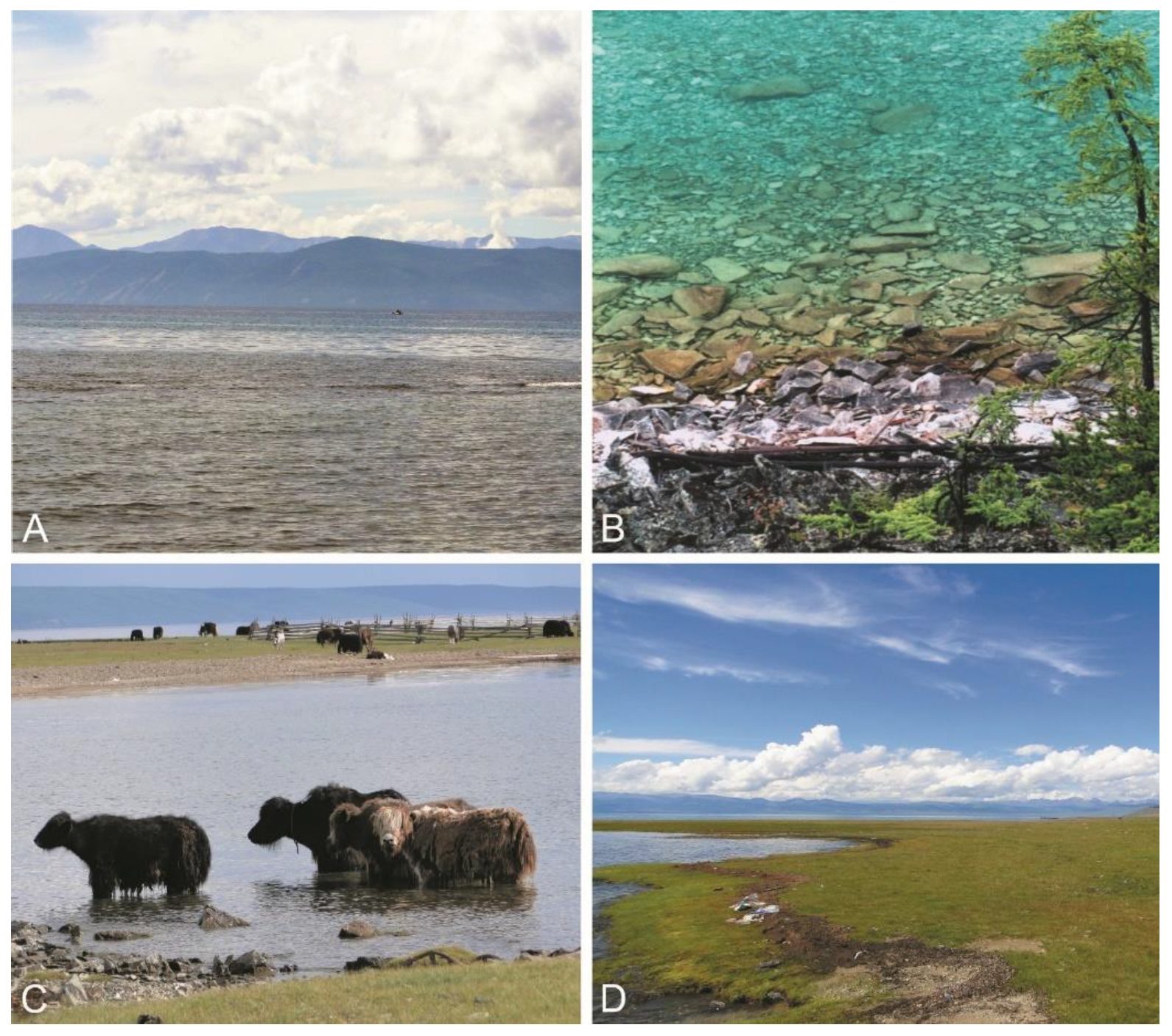 Toxins 15 00213 g001