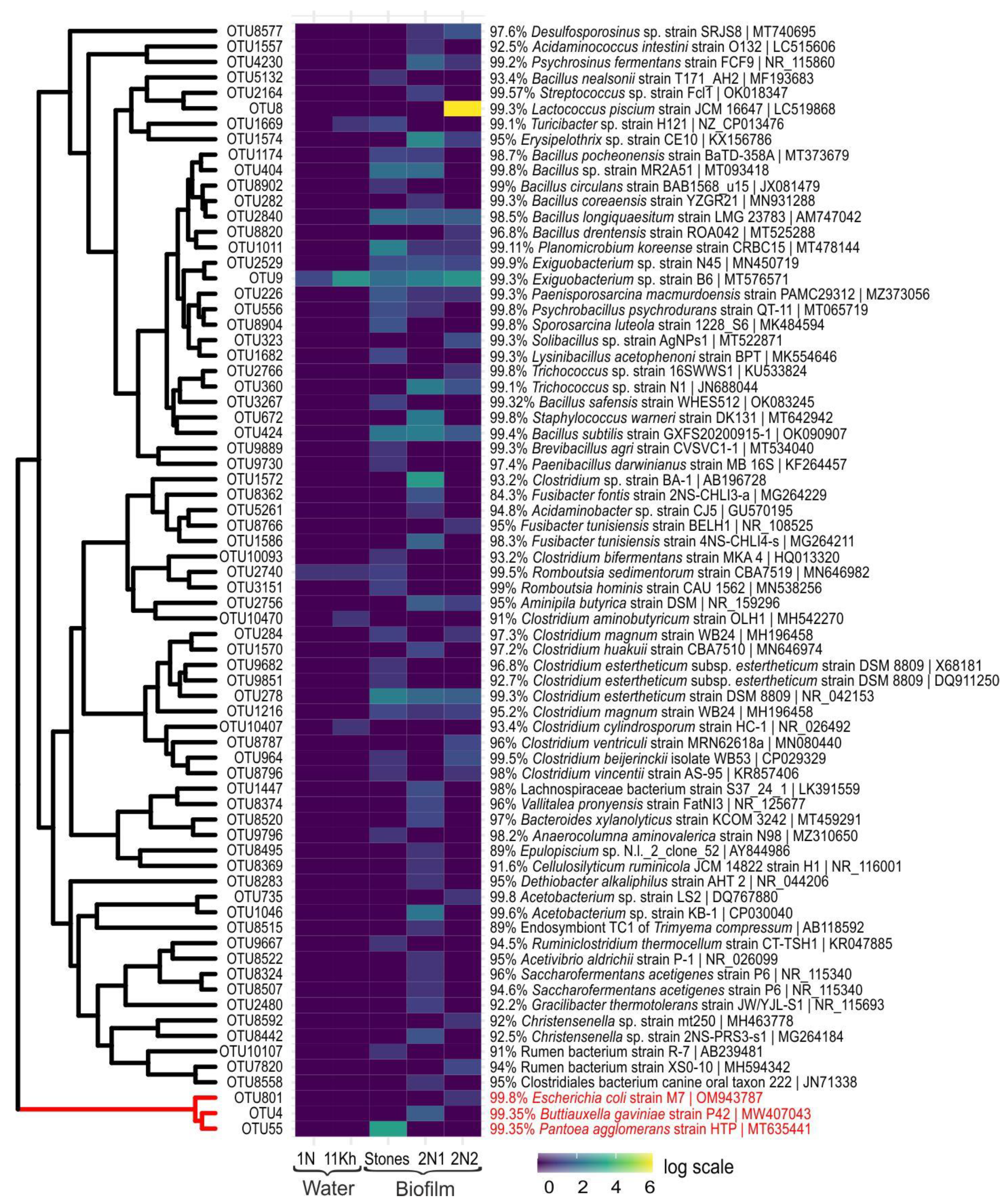 Toxins 15 00213 g006