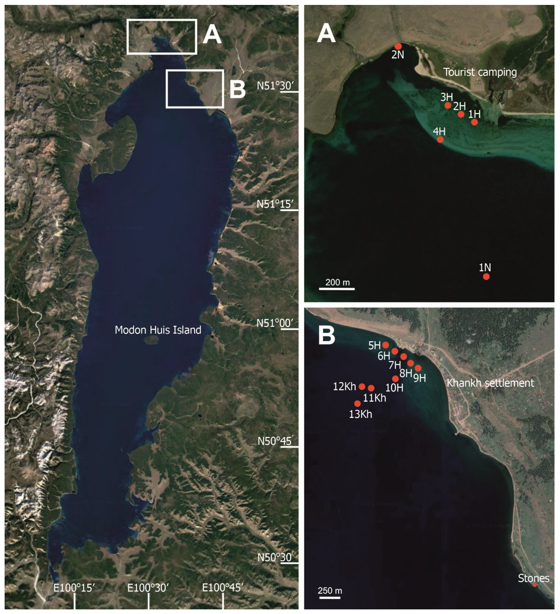 Toxins 15 00213 g009