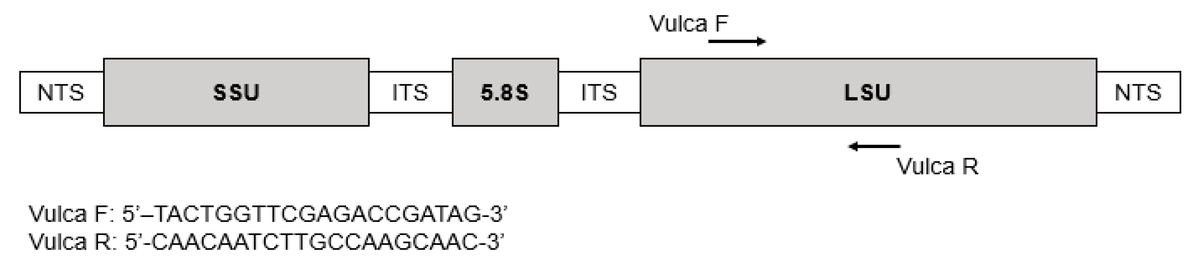 Toxins 15 00217 g004 Toxins 15 00217 g004
