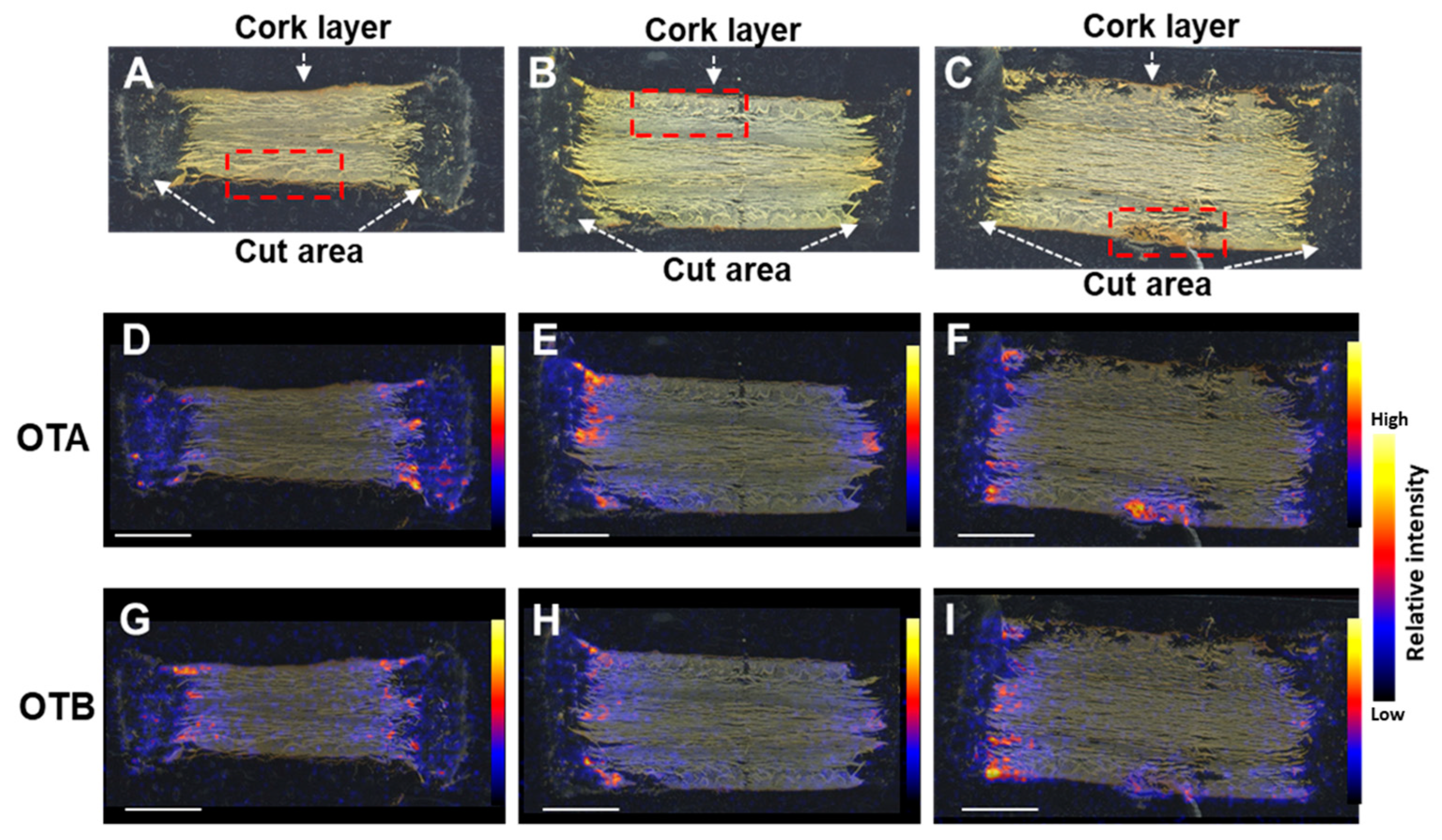 Toxins 15 00219 g002 Toxins 15 00219 g002