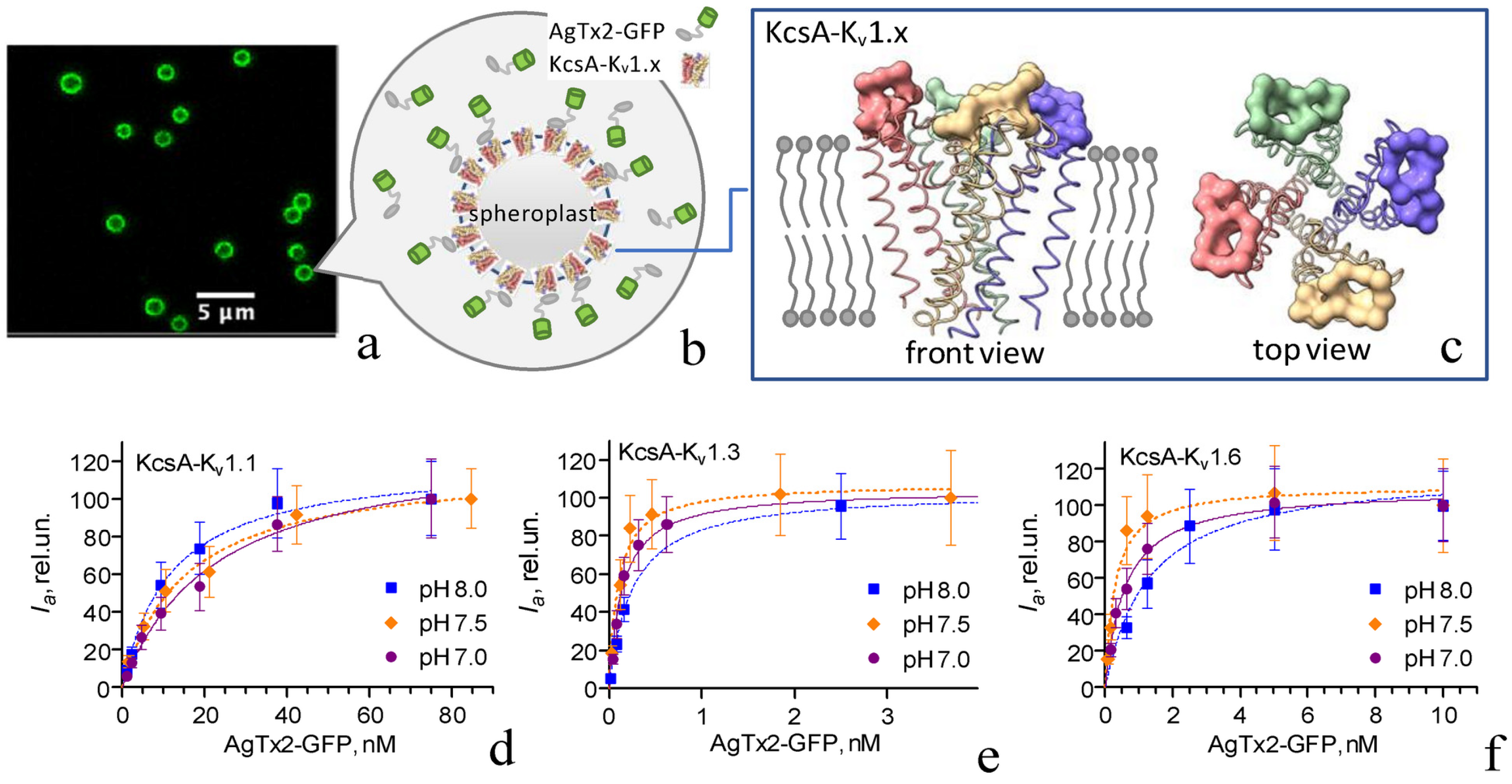 Toxins 15 00229 g001 Toxins 15 00229 g001