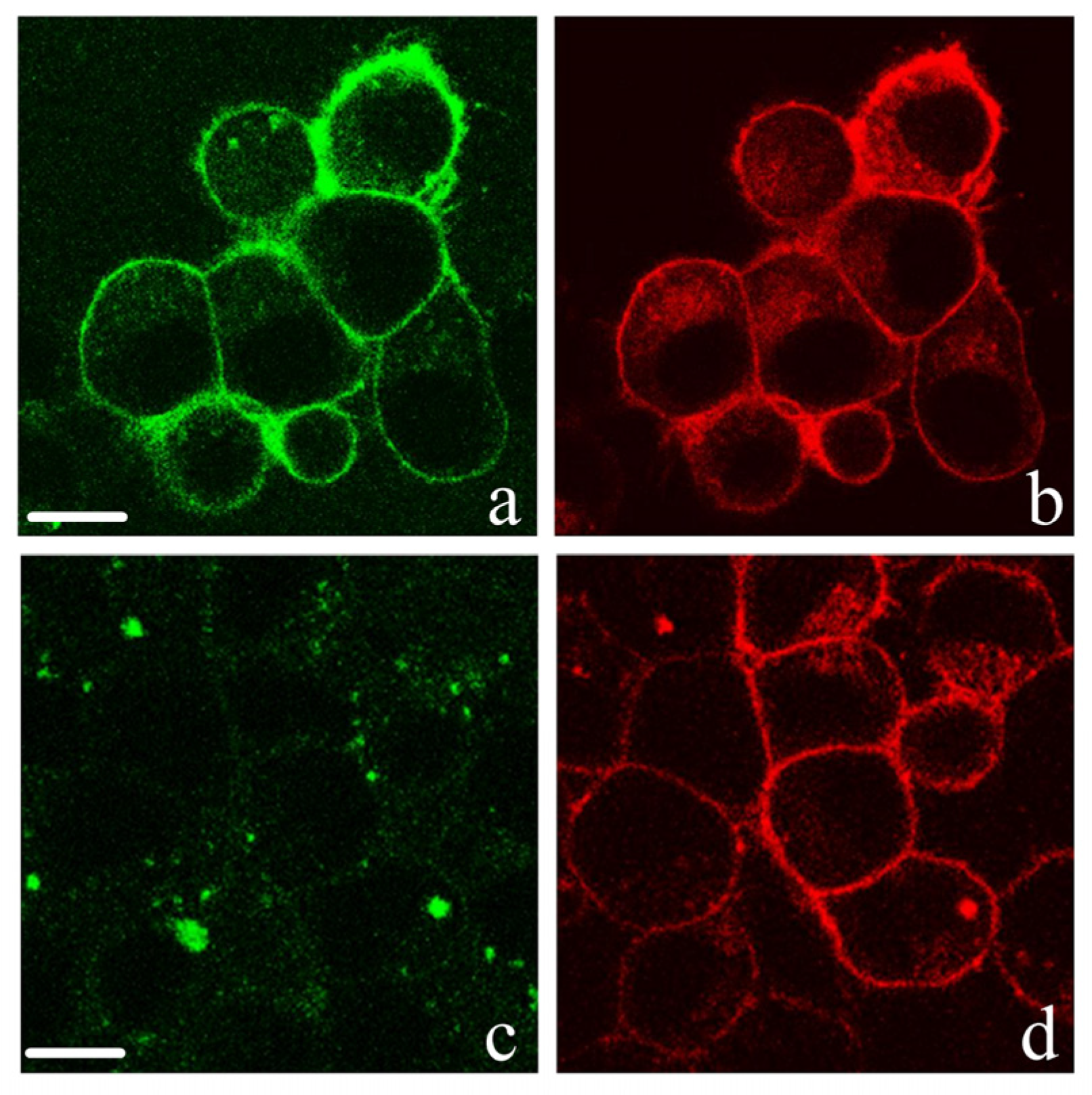 Toxins 15 00229 g004 Toxins 15 00229 g004