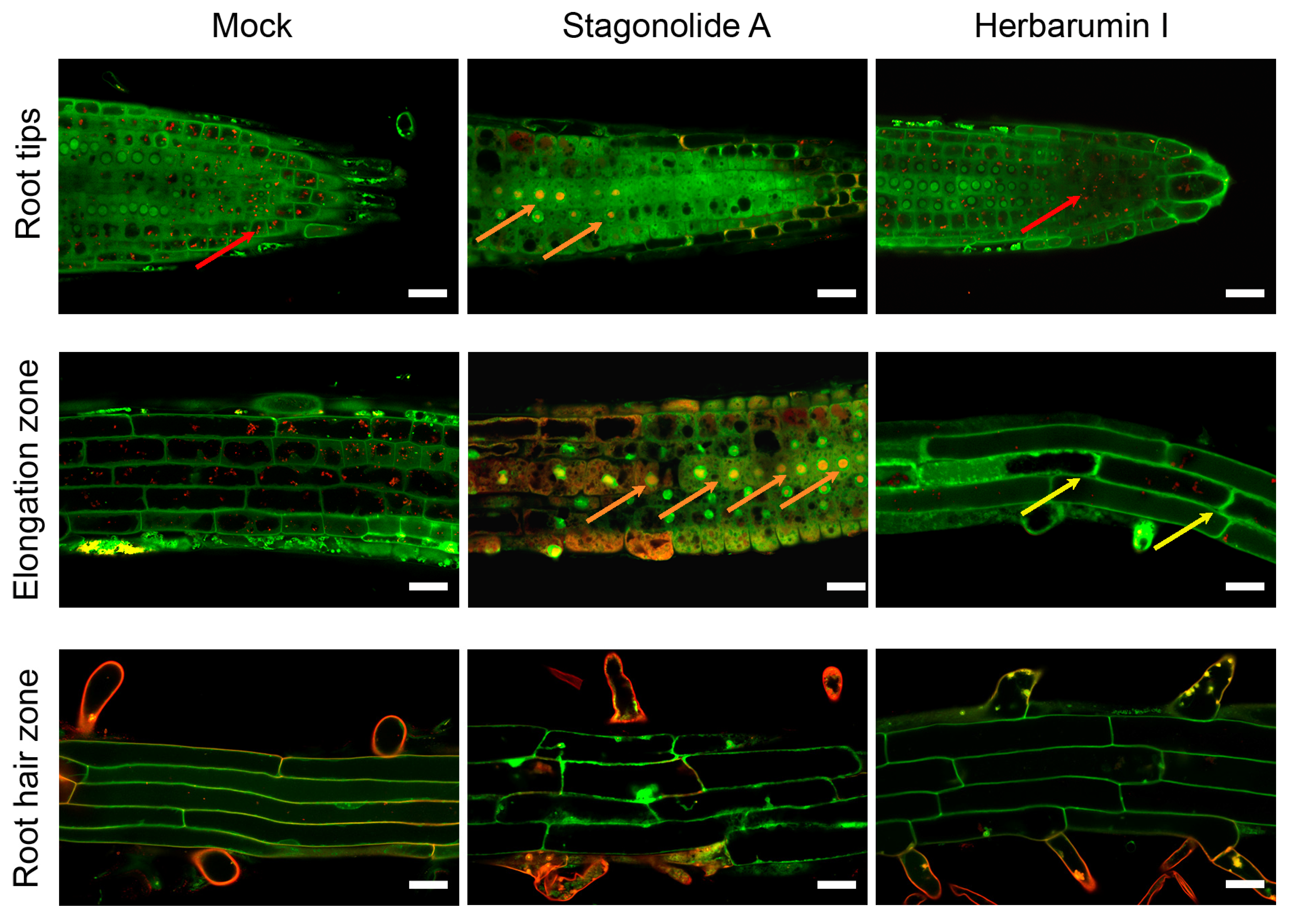 Toxins 15 00234 g009