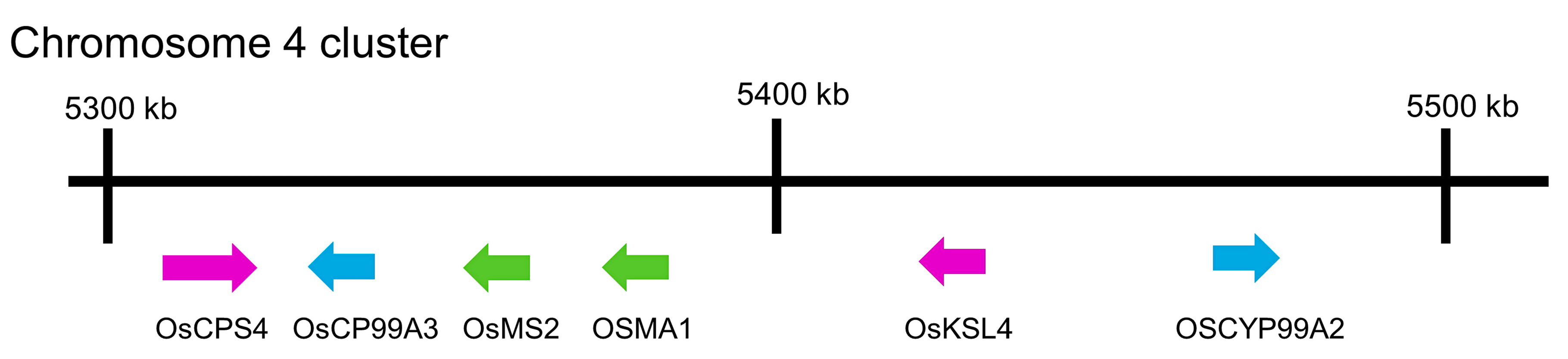 Toxins 15 00241 g003