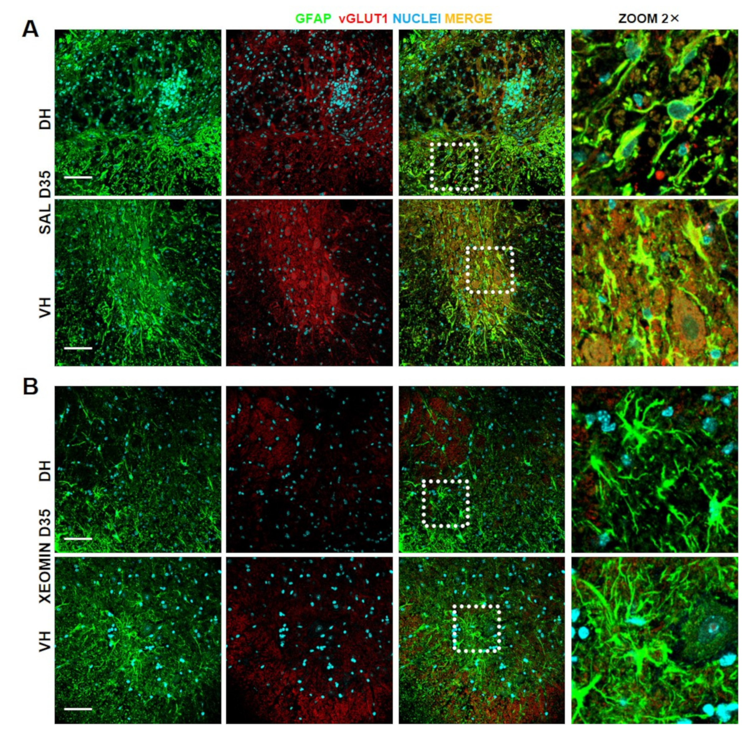 Toxins 15 00248 g003