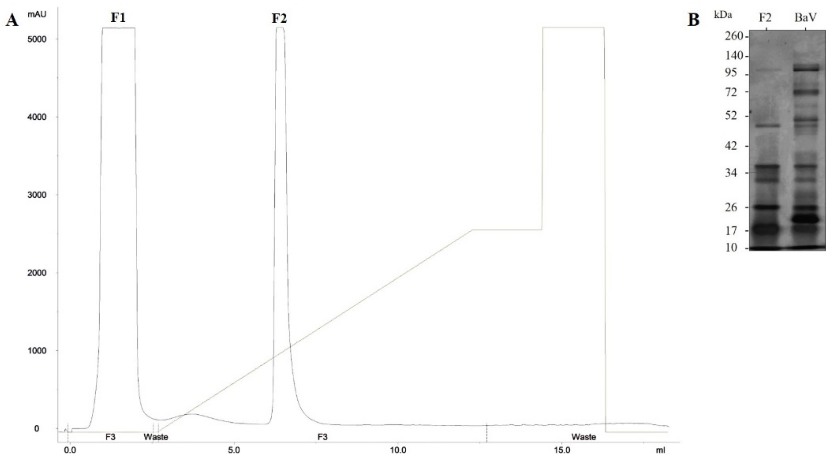Anti-Metalloproteases: Production and Characterization of