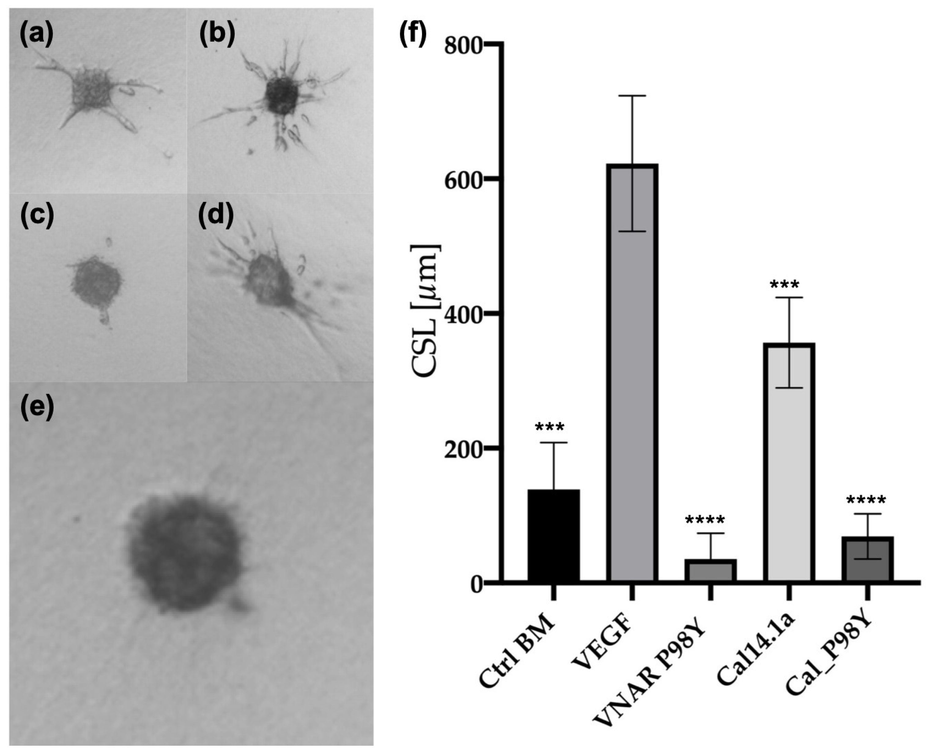 Toxins 15 00269 g006 Toxins 15 00269 g006