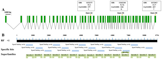 ゴードン様 Analysis of the Effect of Plutella xylostella Polycalin and