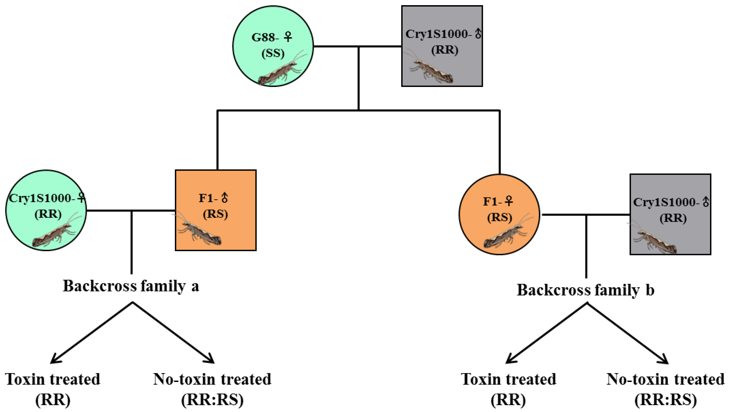 Toxins 15 00273 g009 Toxins 15 00273 g009