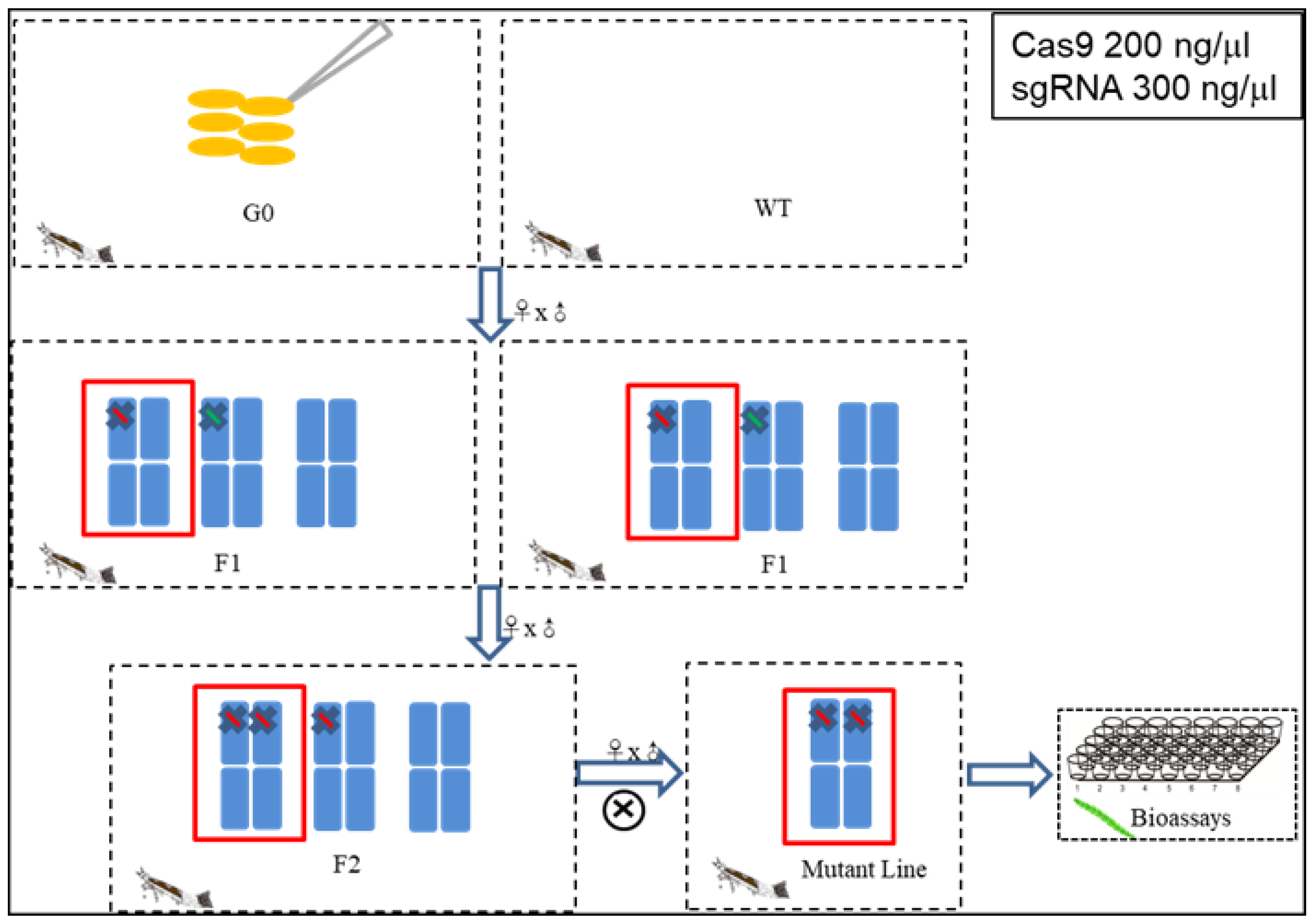 Toxins 15 00273 g010 Toxins 15 00273 g010