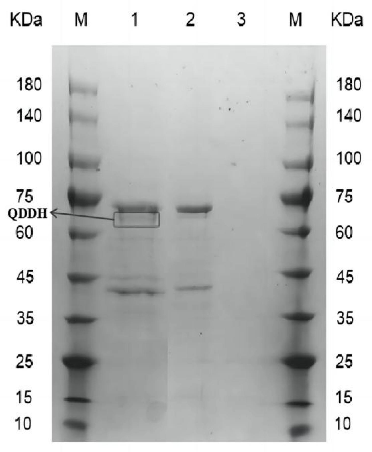 Toxins 15 00286 g003 Toxins 15 00286 g003