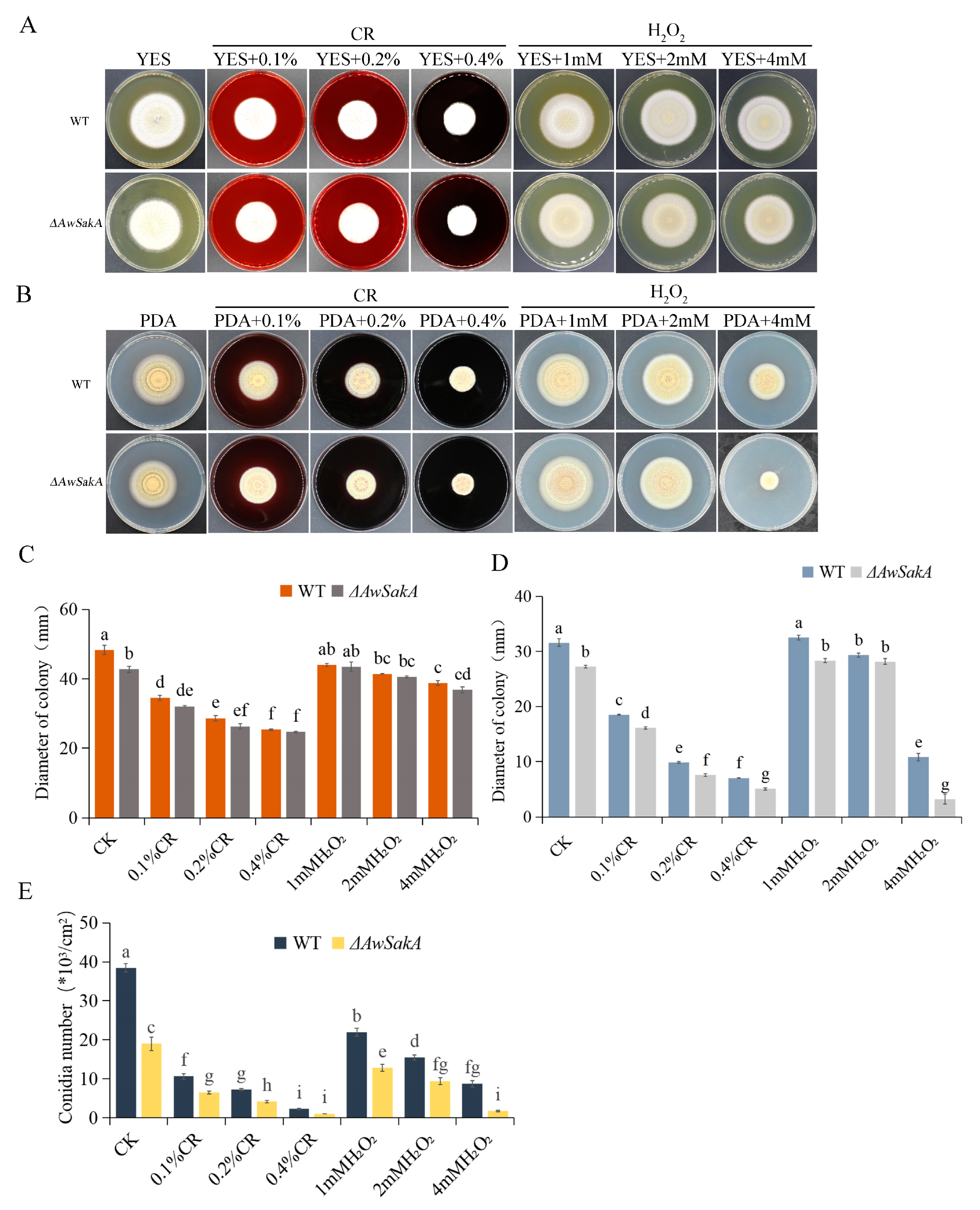 Toxins 15 00292 g006 Toxins 15 00292 g006