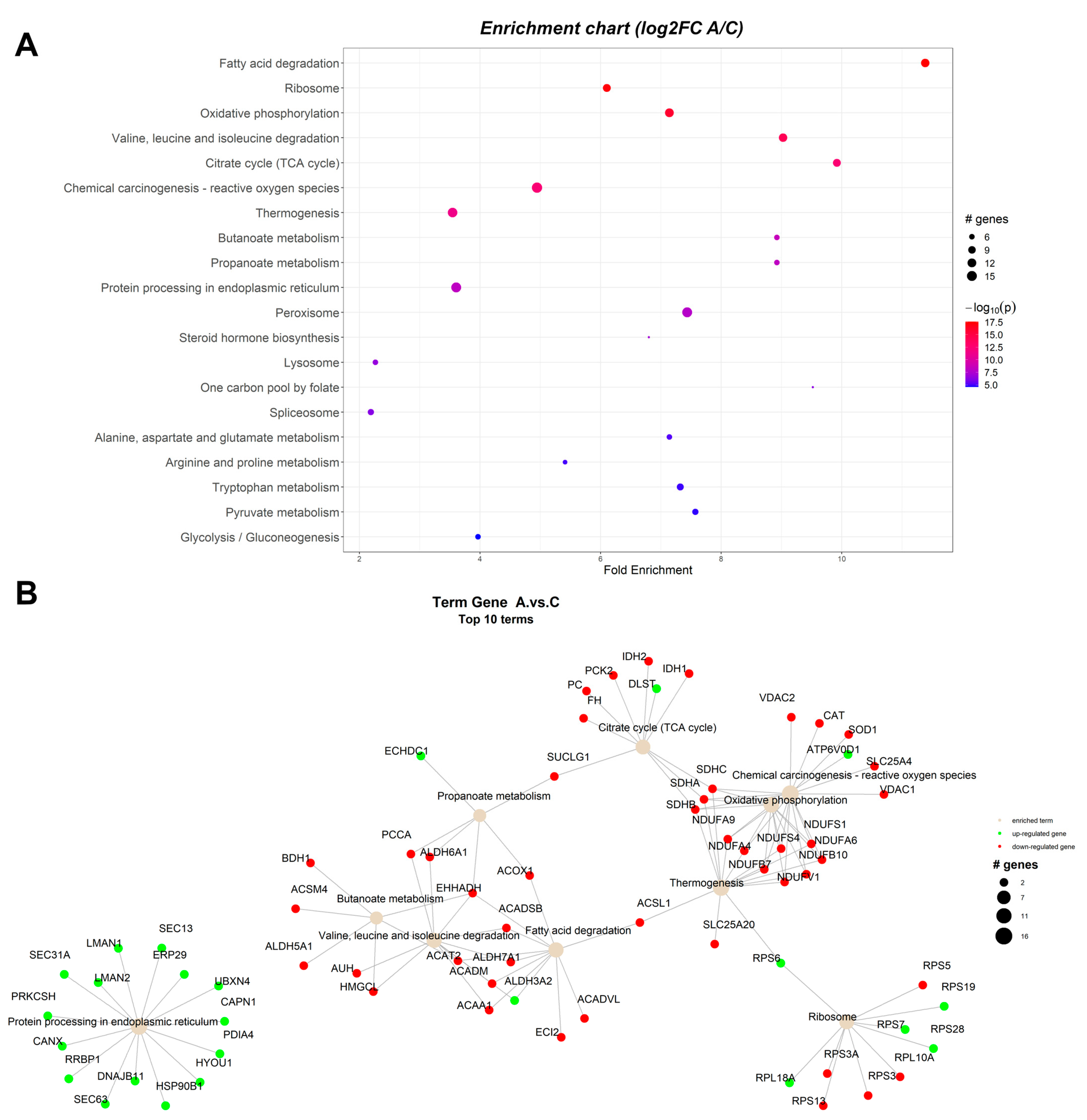 Toxins 15 00299 g001 Toxins 15 00299 g001