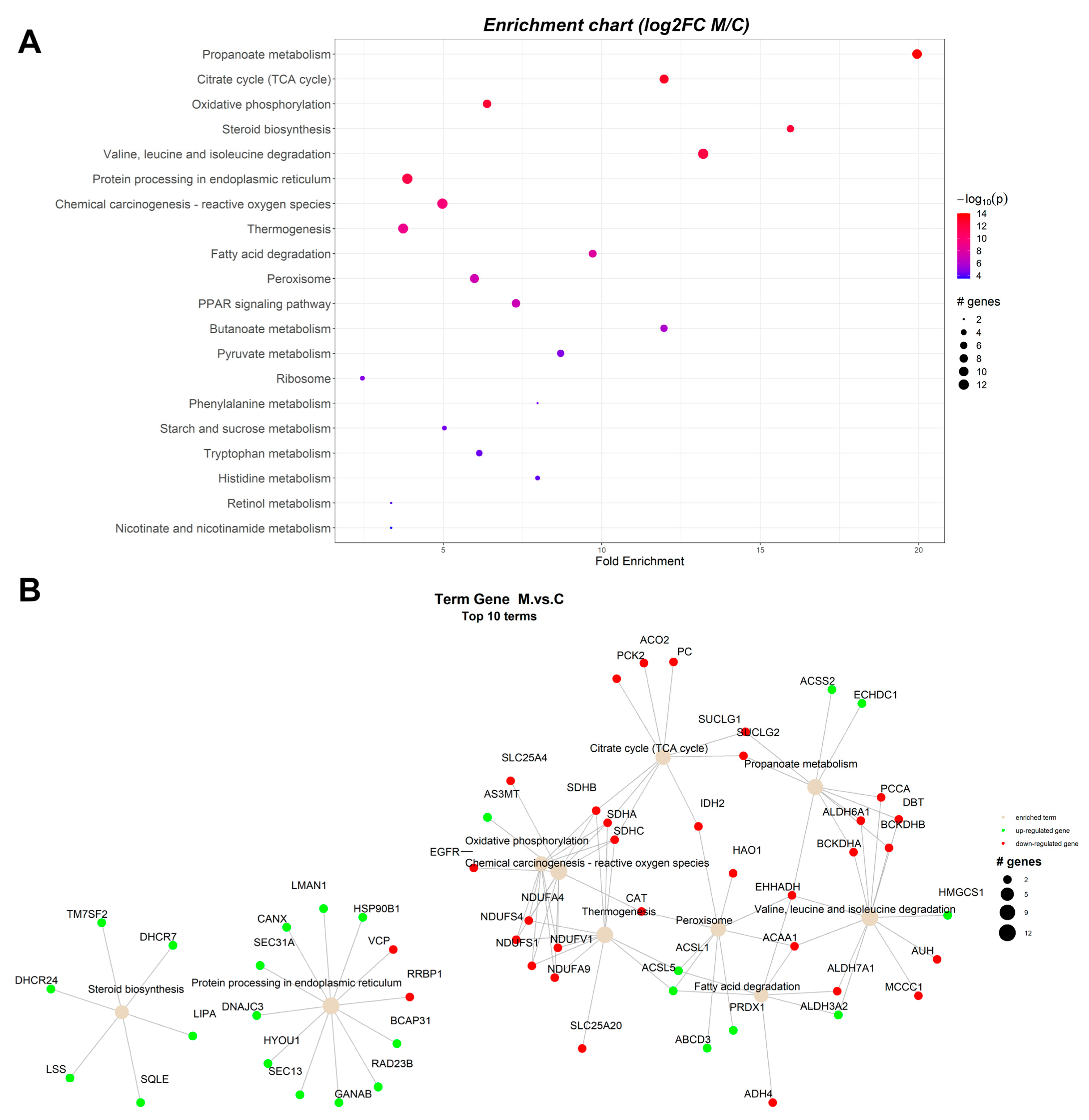 Toxins 15 00299 g002 Toxins 15 00299 g002