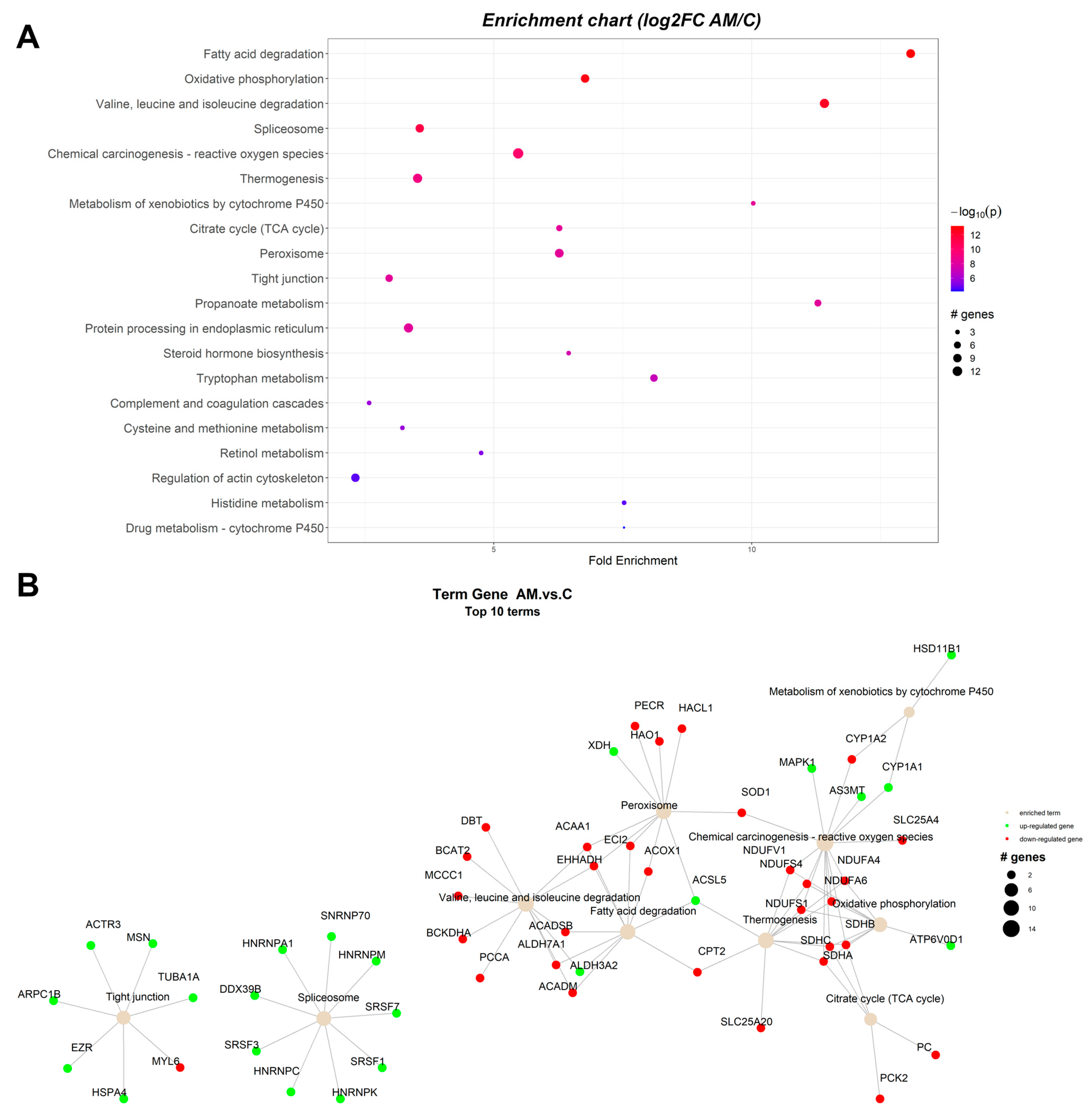 Toxins 15 00299 g003 Toxins 15 00299 g003