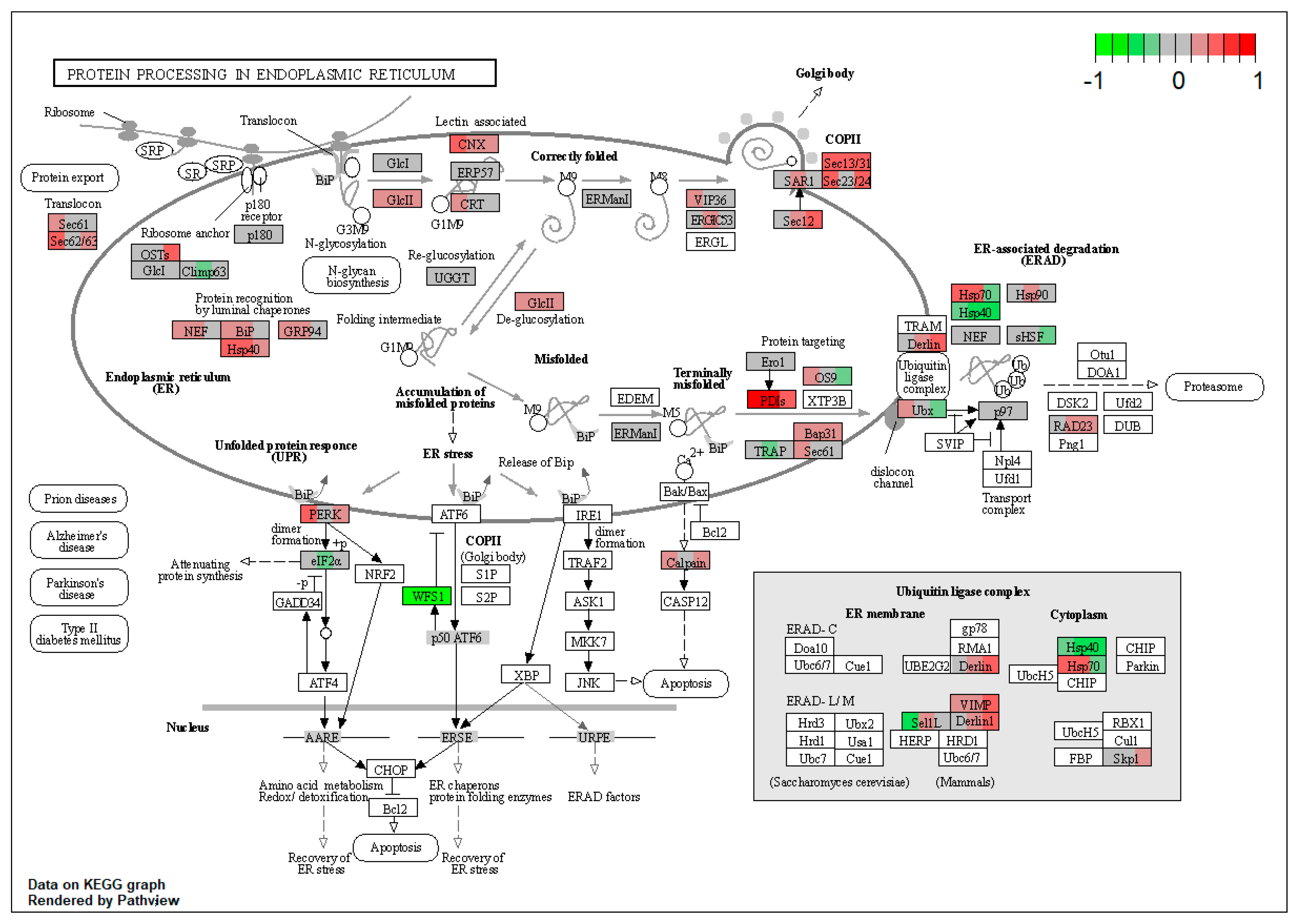 Toxins 15 00299 g0a10 Toxins 15 00299 g0a10