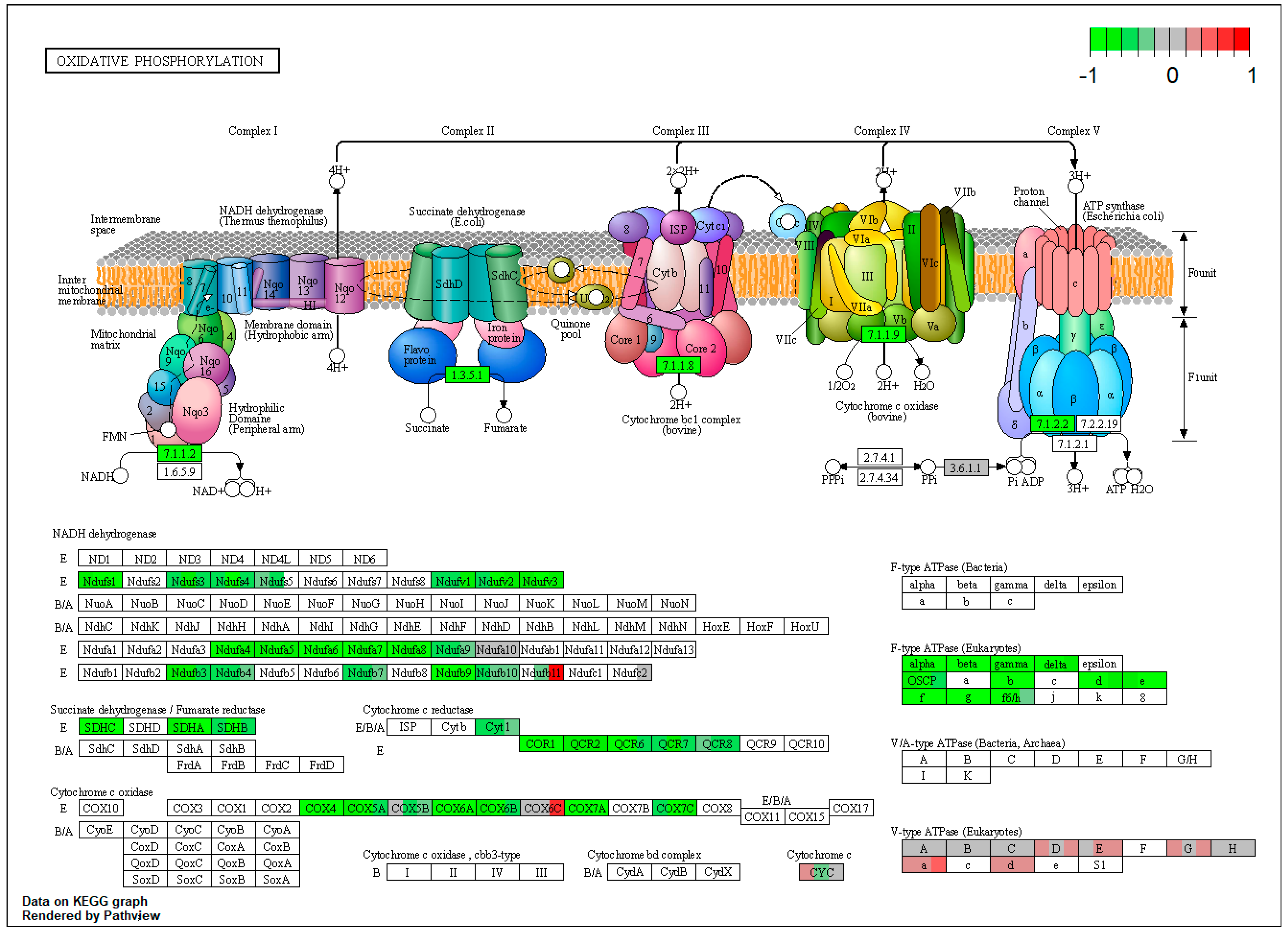 Toxins 15 00299 g0a2 Toxins 15 00299 g0a2