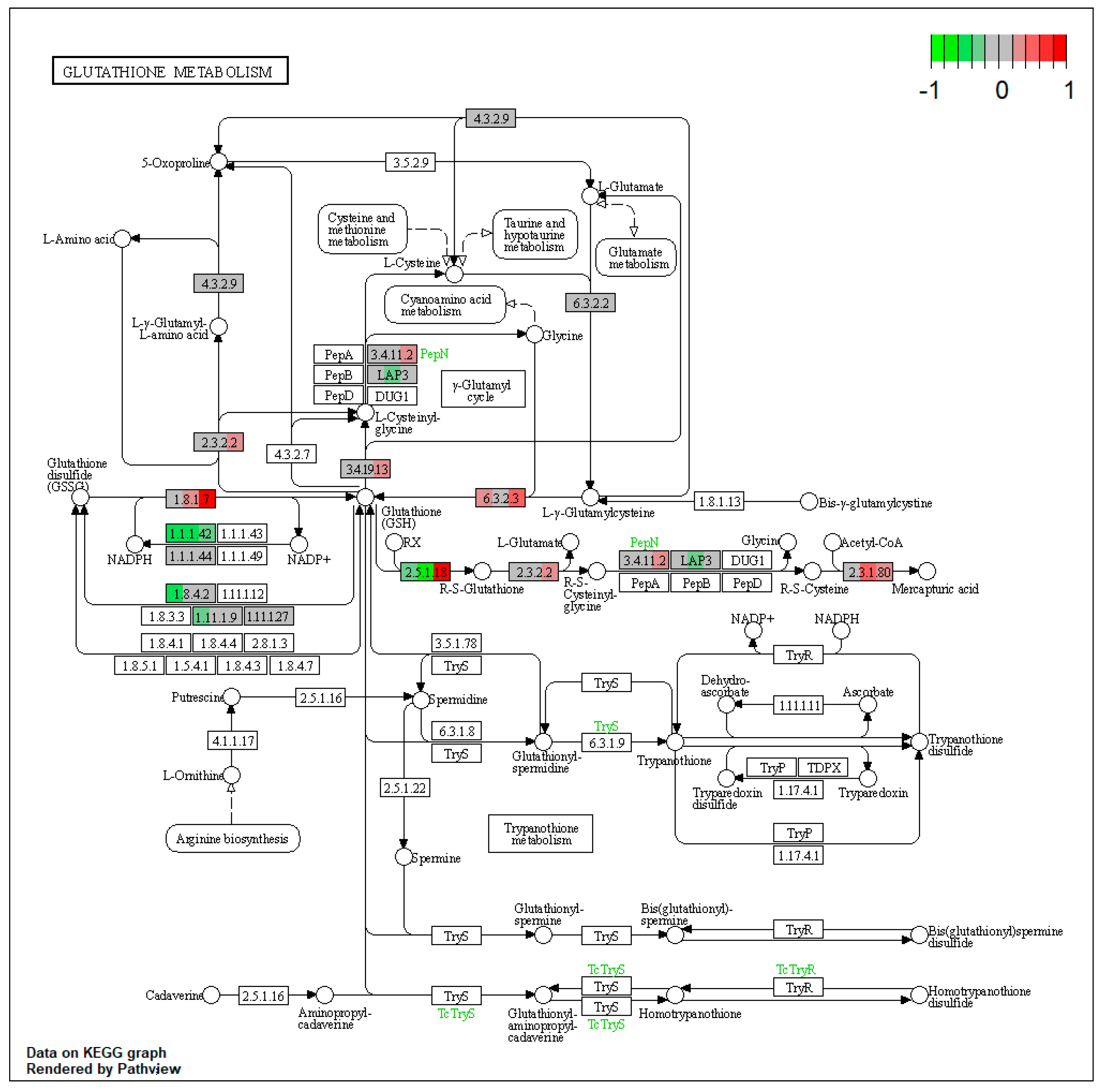 Toxins 15 00299 g0a21 Toxins 15 00299 g0a21