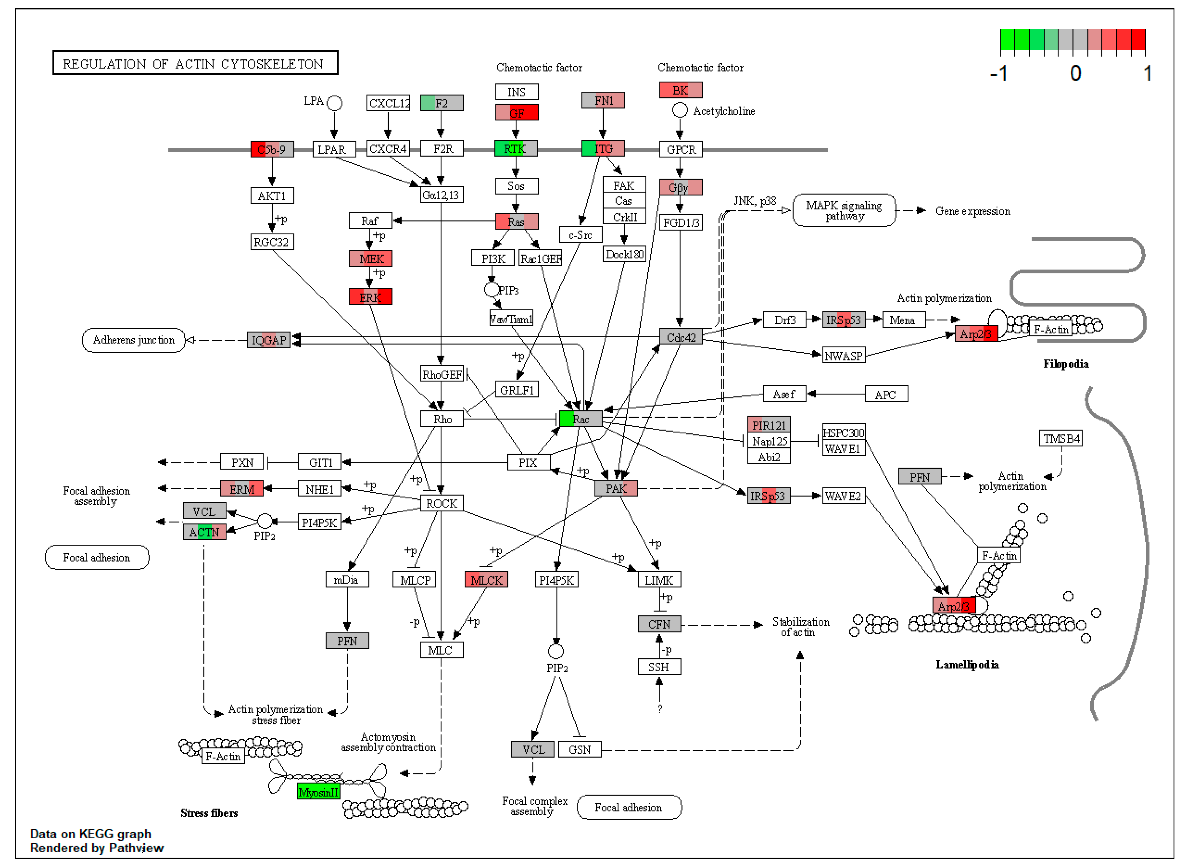 Toxins 15 00299 g0a8 Toxins 15 00299 g0a8