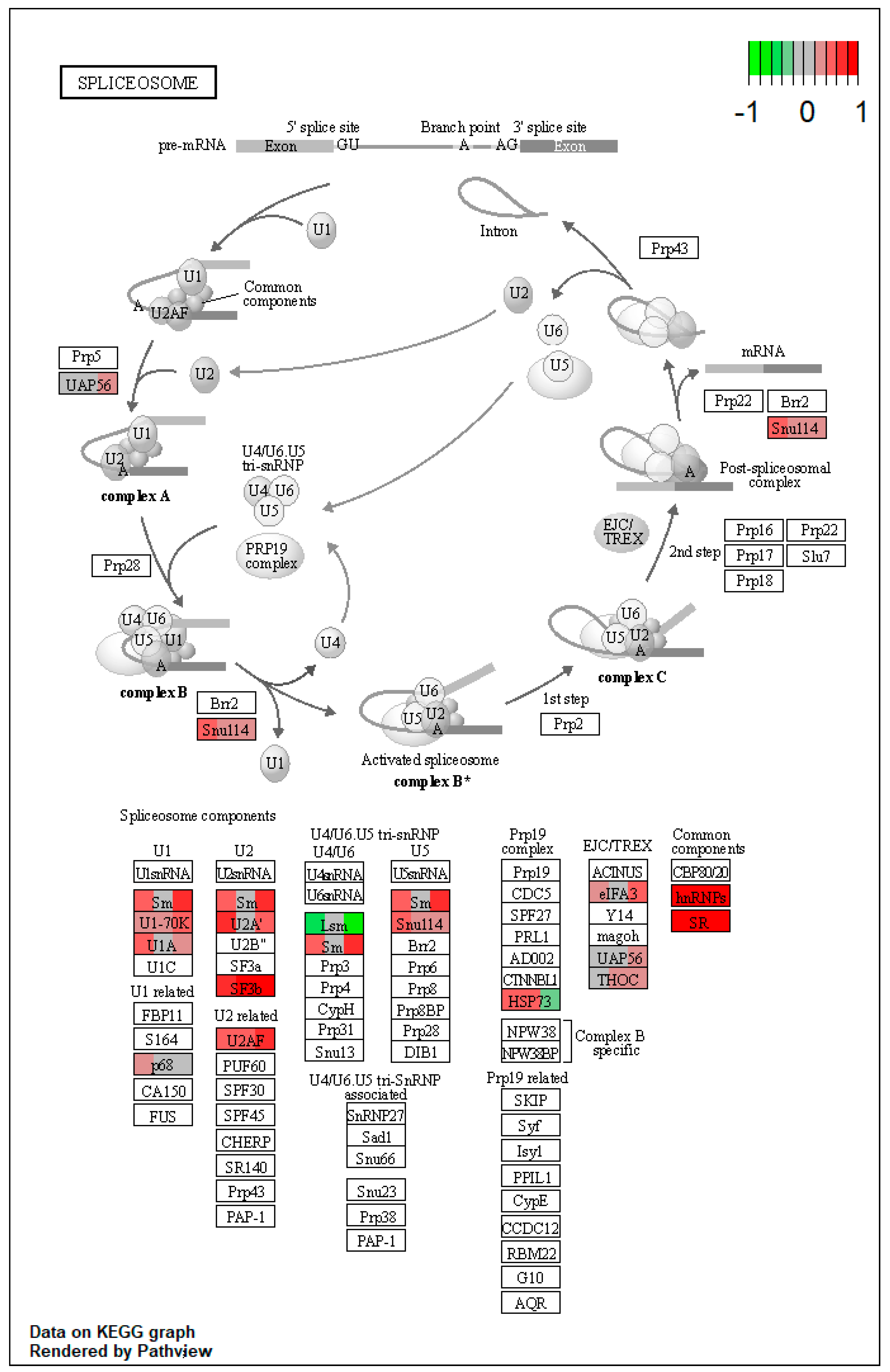 Toxins 15 00299 g0a9 Toxins 15 00299 g0a9