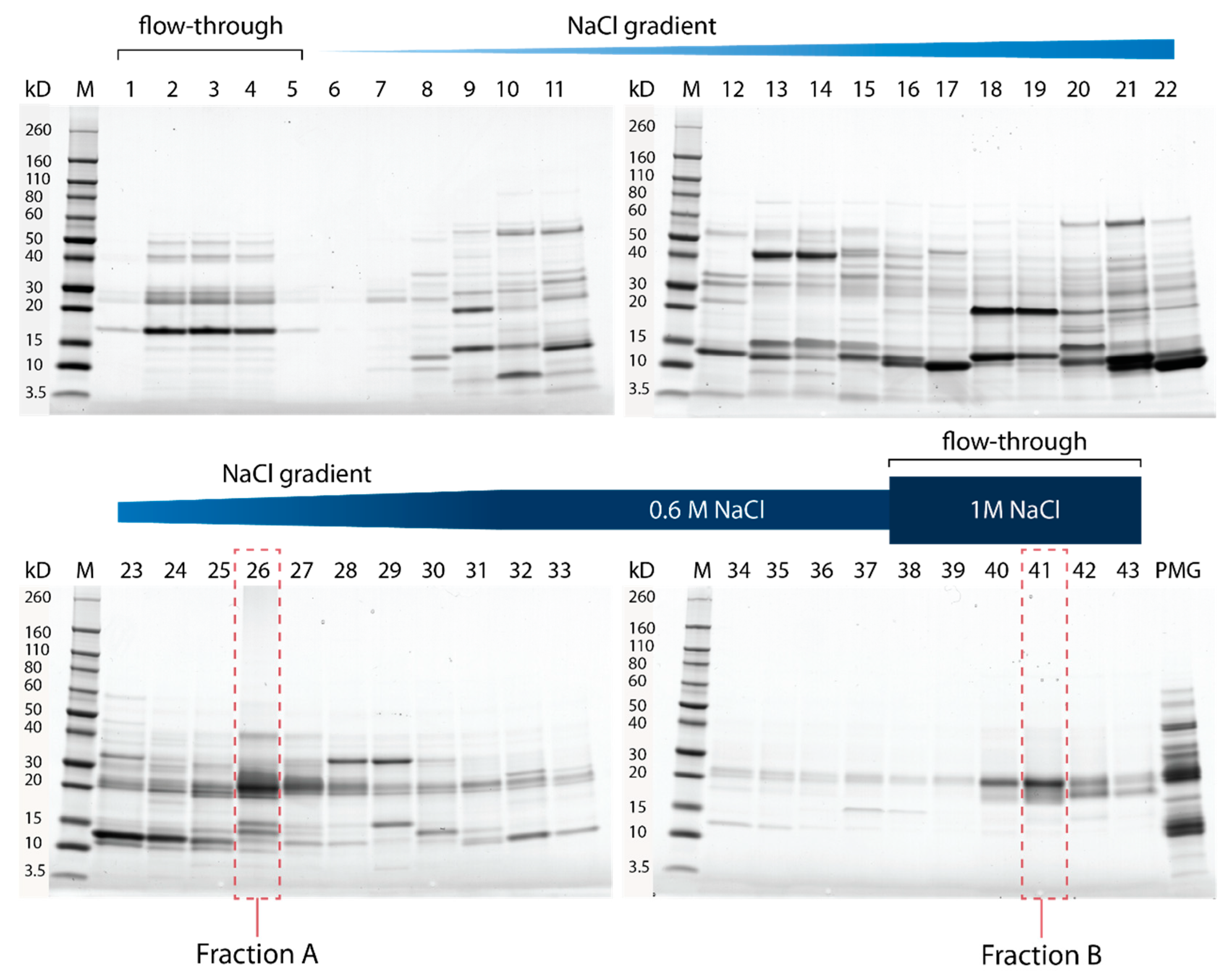 Toxins 15 00302 g001