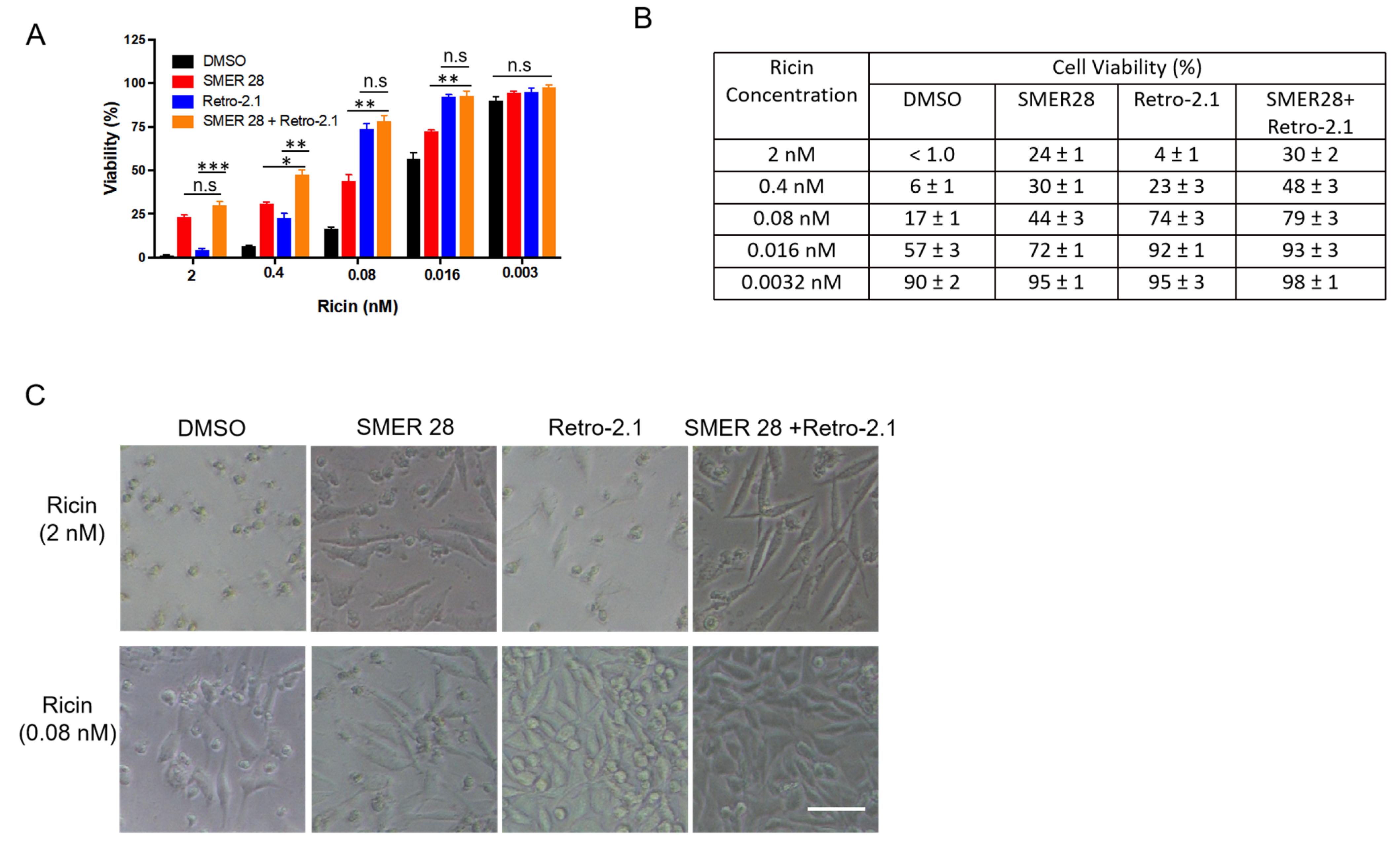 Toxins 15 00304 g005 Toxins 15 00304 g005