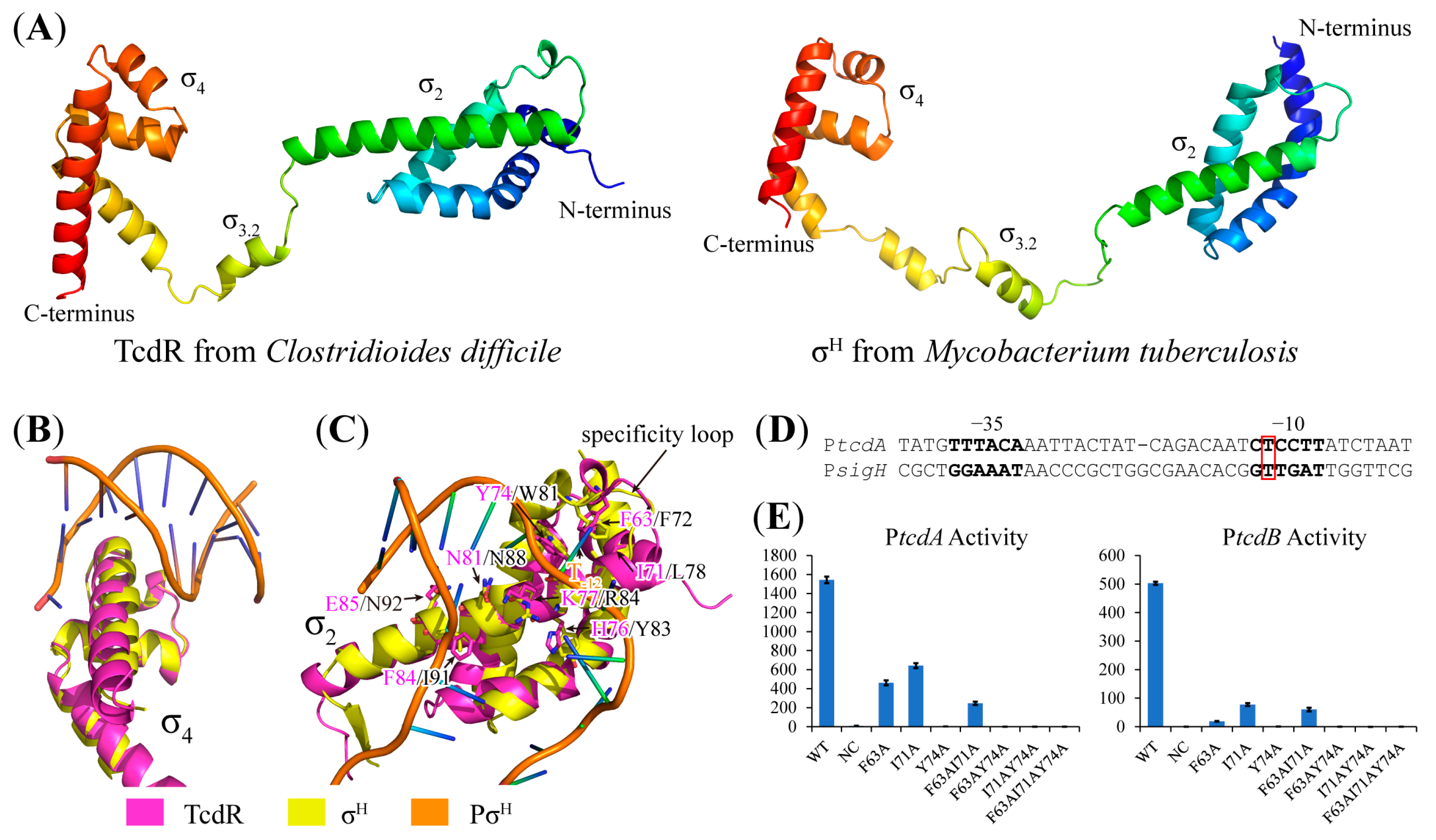 Toxins 15 00306 g006 Toxins 15 00306 g006