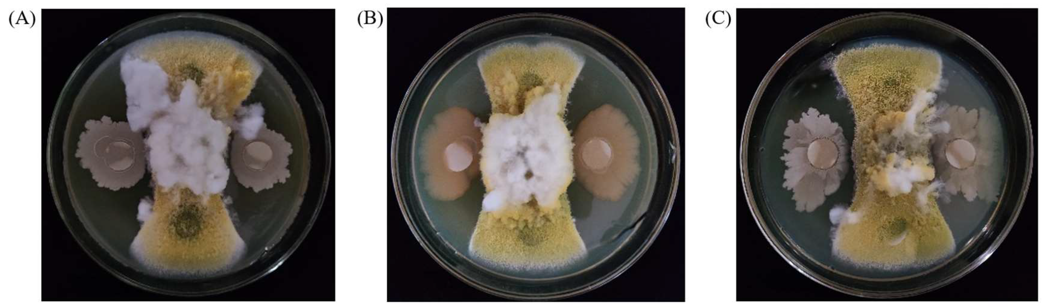 Toxins 15 00308 g001