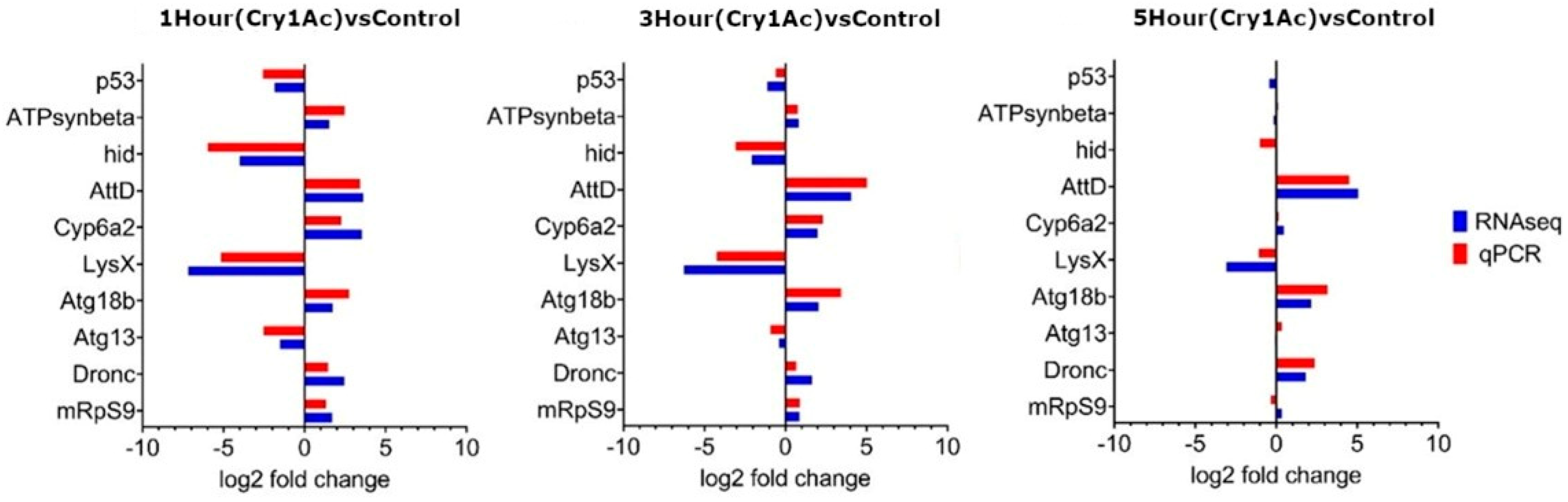 Toxins 15 00323 g006